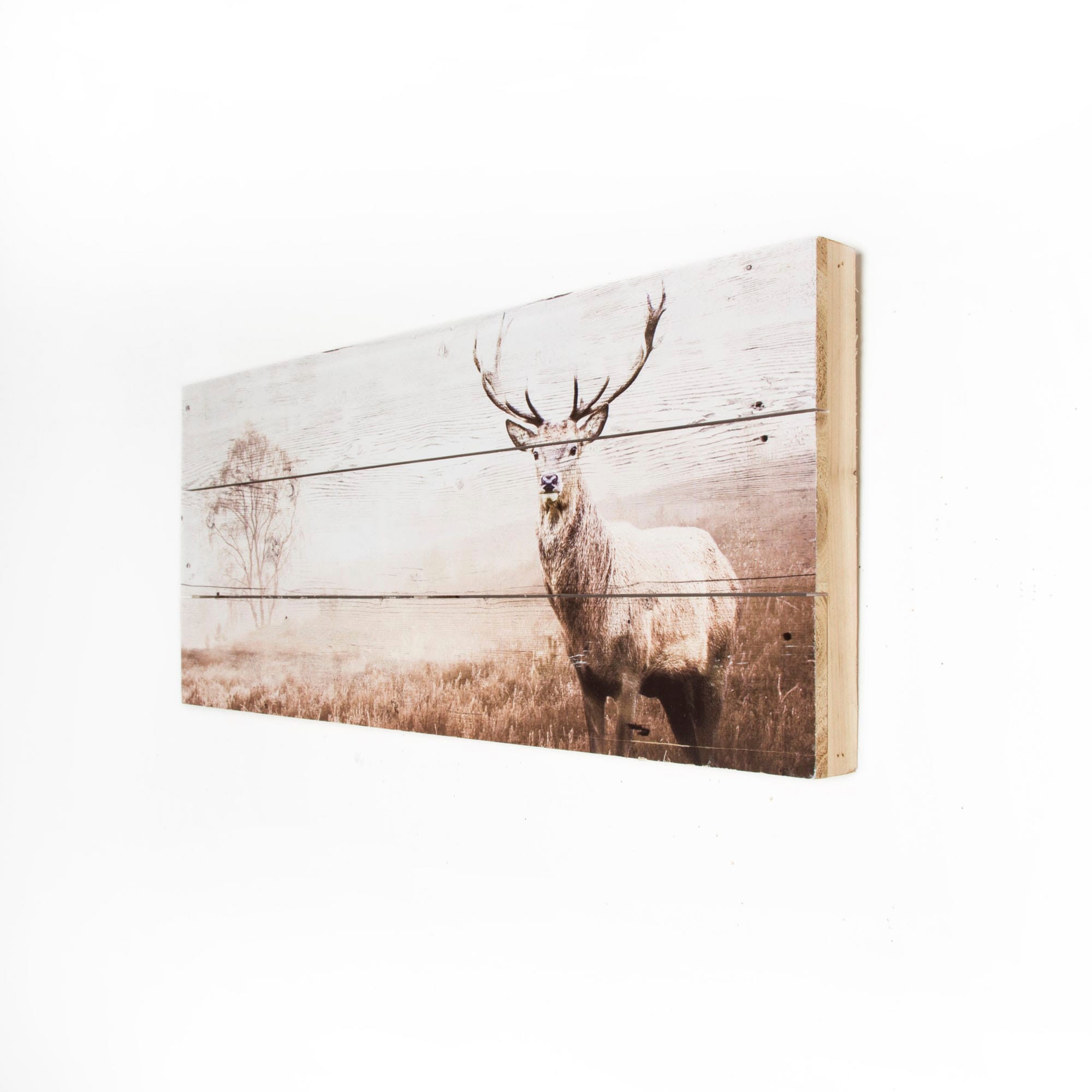 Art for the home Holzbild »Stag«, Hirsche
