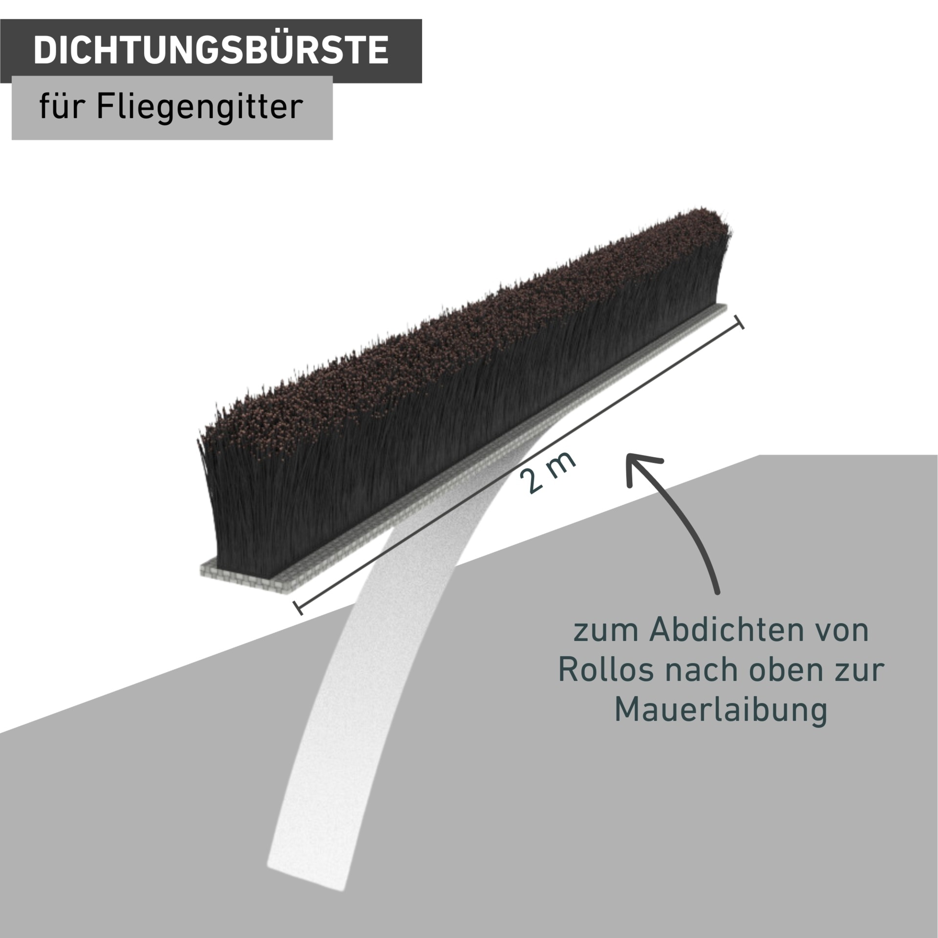 Windhager Fliegengitter-Gewebe »für Insektenschutz Rollofenster und Rahmensysteme, Dichtungsbürste 2 m« Packung, 1 Stk. tlg. Fliegengitter Zubehör, selbstklebender Schutz vor Insekten