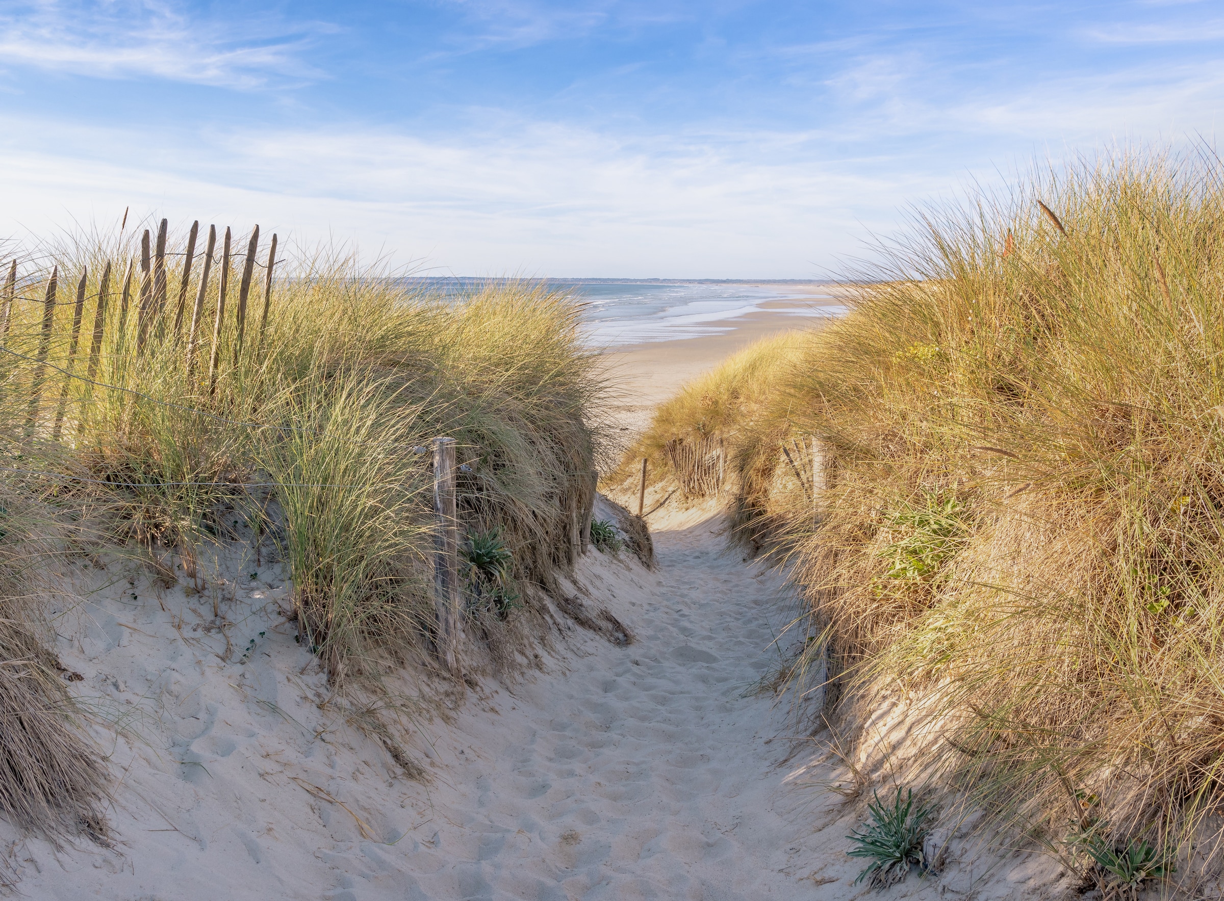 Fototapete »Dunes in Bretagne«