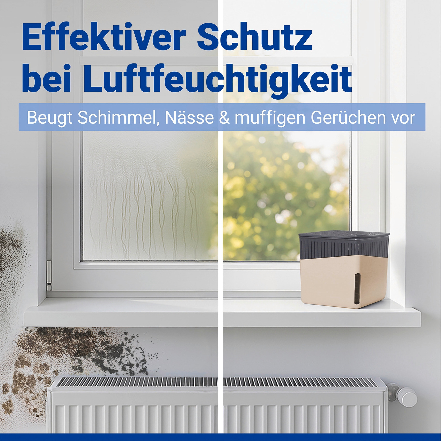 WENKO Luftentfeuchter »Modell Cube« für 80 m³ Räume Tank 1,6 l mit 2 x 1000 g Entfeuchter-Blöcken, für Räume bis 80 m³