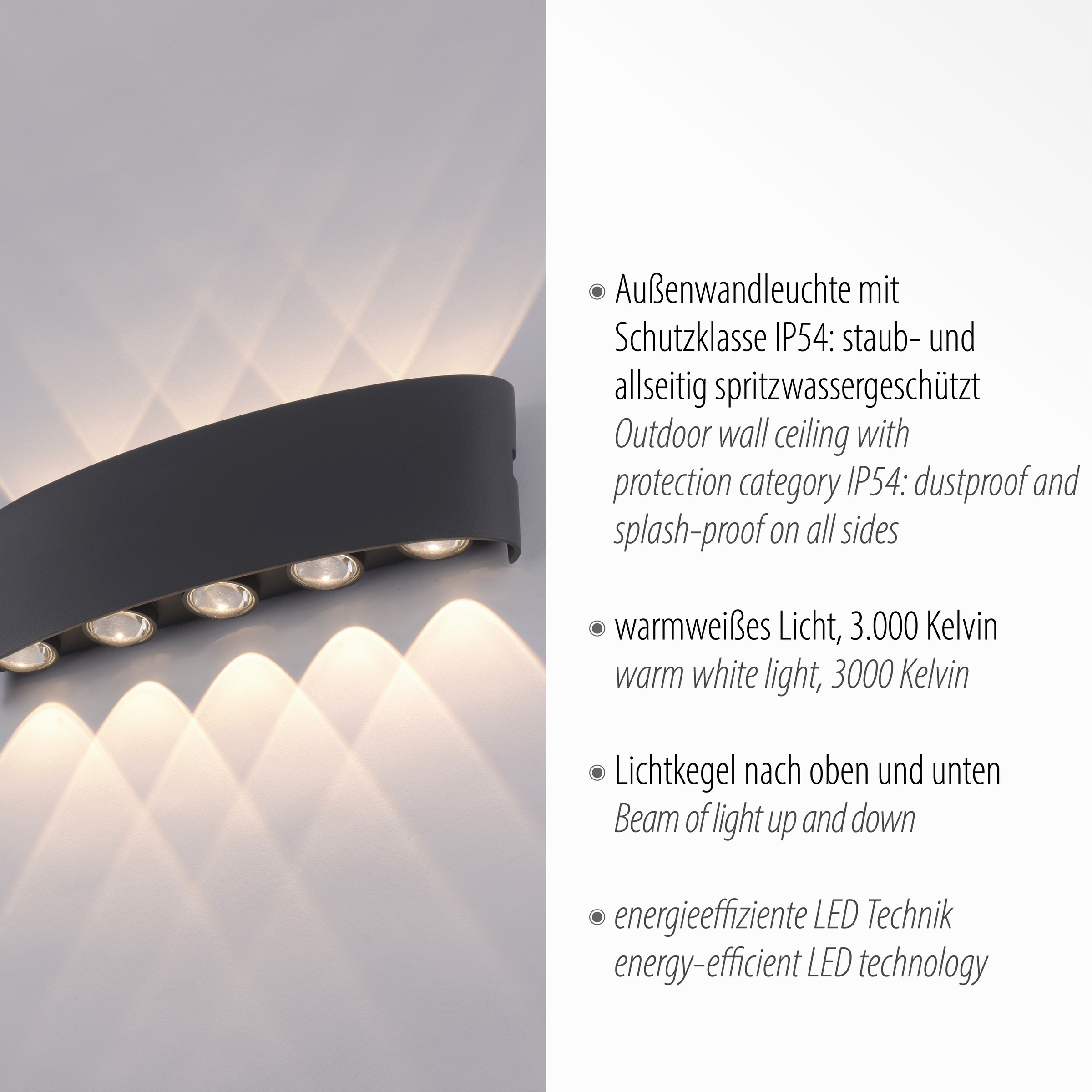 Paul Neuhaus Außen-Wandleuchte »CARLO«, 10 flammig, Leuchtmittel LED-Board | LED fest integriert, Schutzart IP 54, Für Außen- und Innenbereich