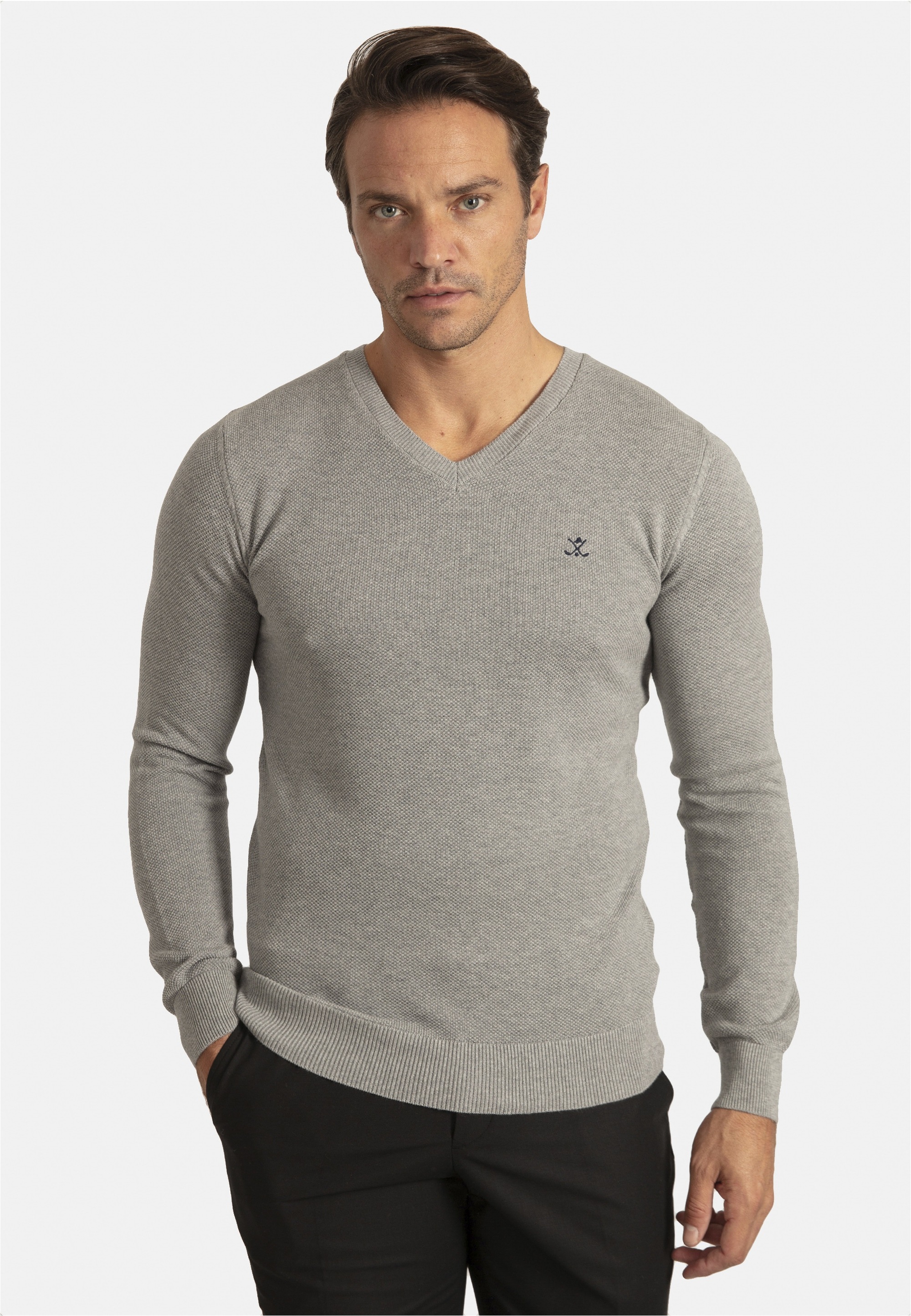 SIR RAYMOND TAILOR V-Ausschnitt-Pullover »Liva«, mit elegantem V-Ausschnitt