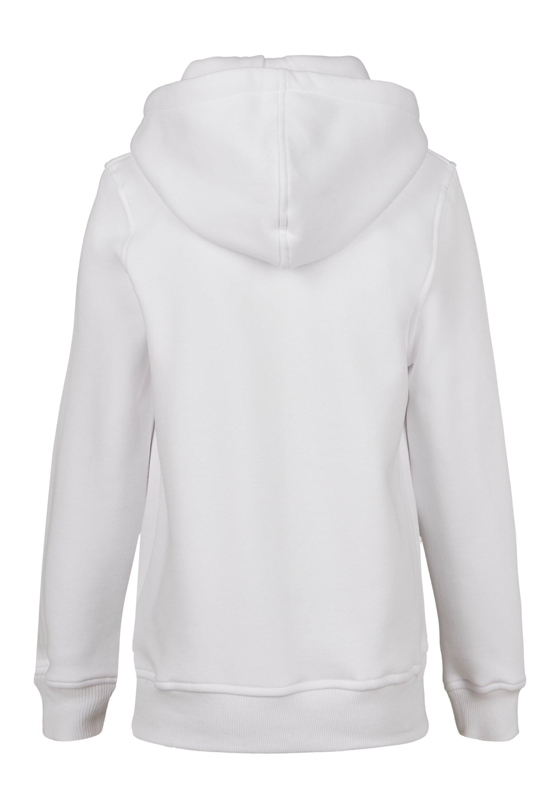 MisterTee Kapuzensweatshirt »MisterTee Herren Kids NASA Insignia Hoody«, (1 tlg.)