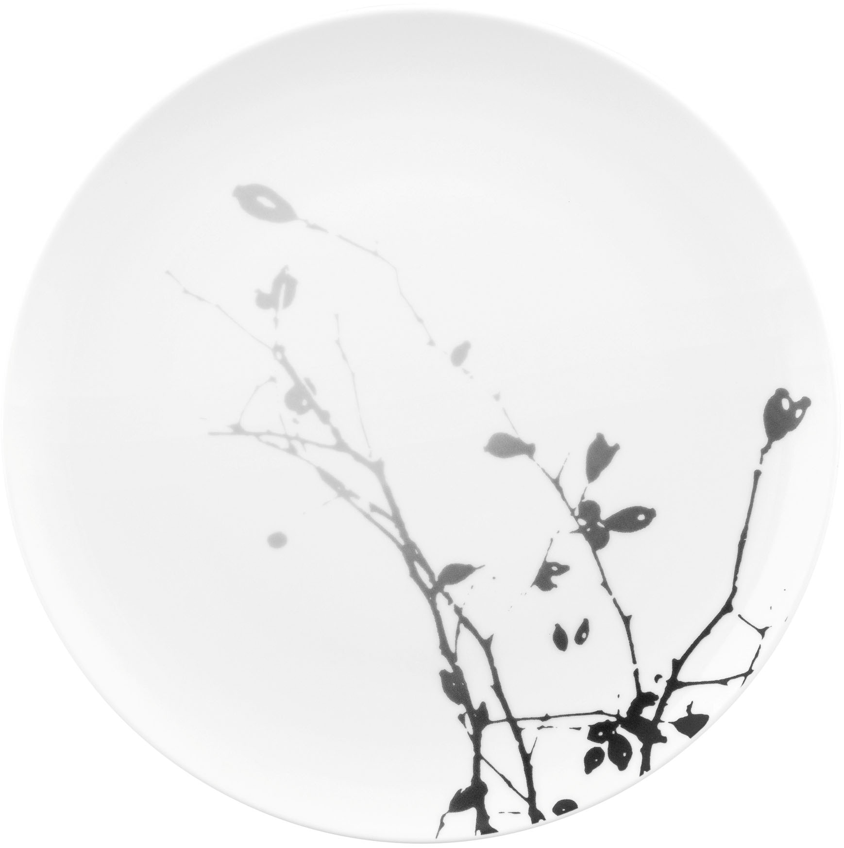 Seltmann Weiden Frühstücksteller "Liberty - Dark Rose Hip" Teller rund 22,5 cm