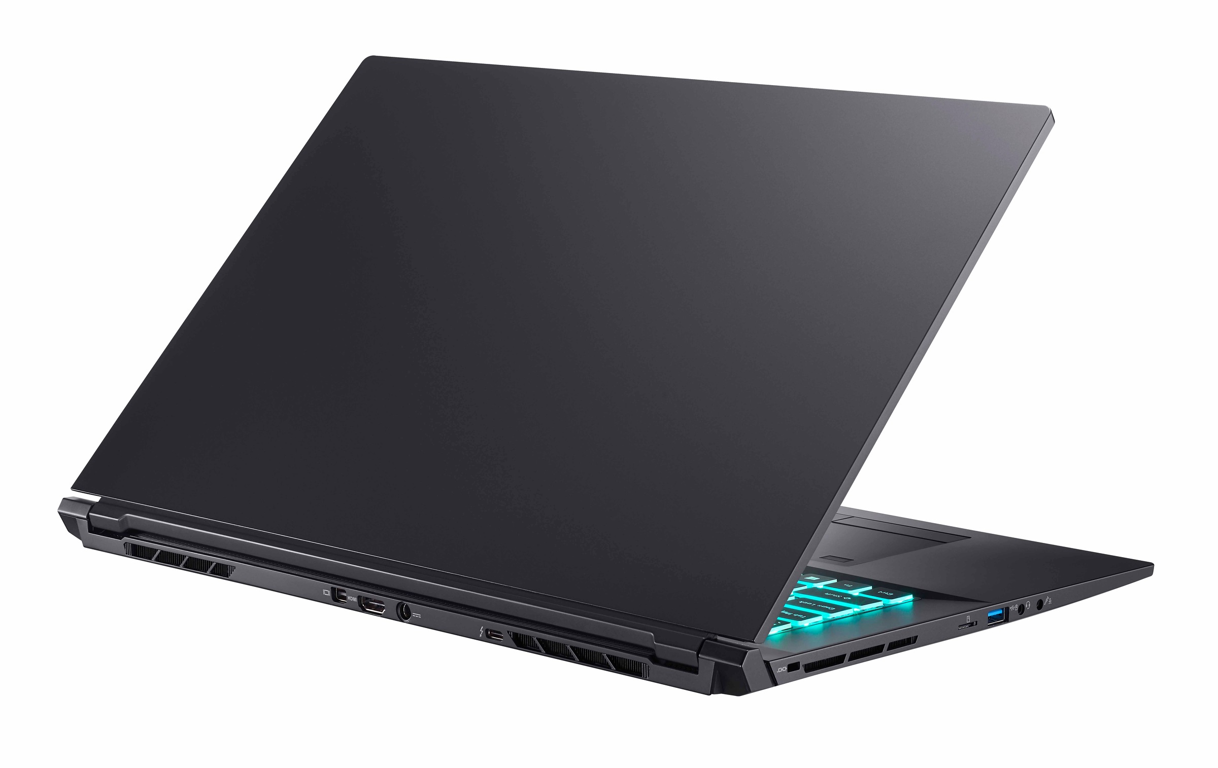 Hyrican Gaming-Notebook »Striker 1638«, 43,94 cm, / 17,3 Zoll, Intel, Core i7, GeForce RTX 3060, 1000 GB SSD, 300 Hz Display, 16 GB RAM