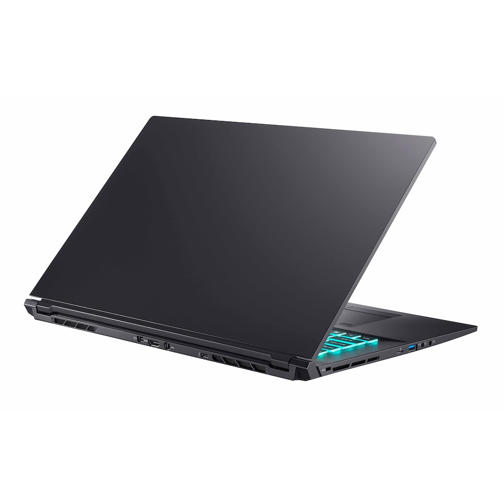 Hyrican Gaming-Notebook »Striker 1638«, 43,94 cm, / 17,3 Zoll, Intel, Core i7, GeForce RTX 3060, 1000 GB SSD