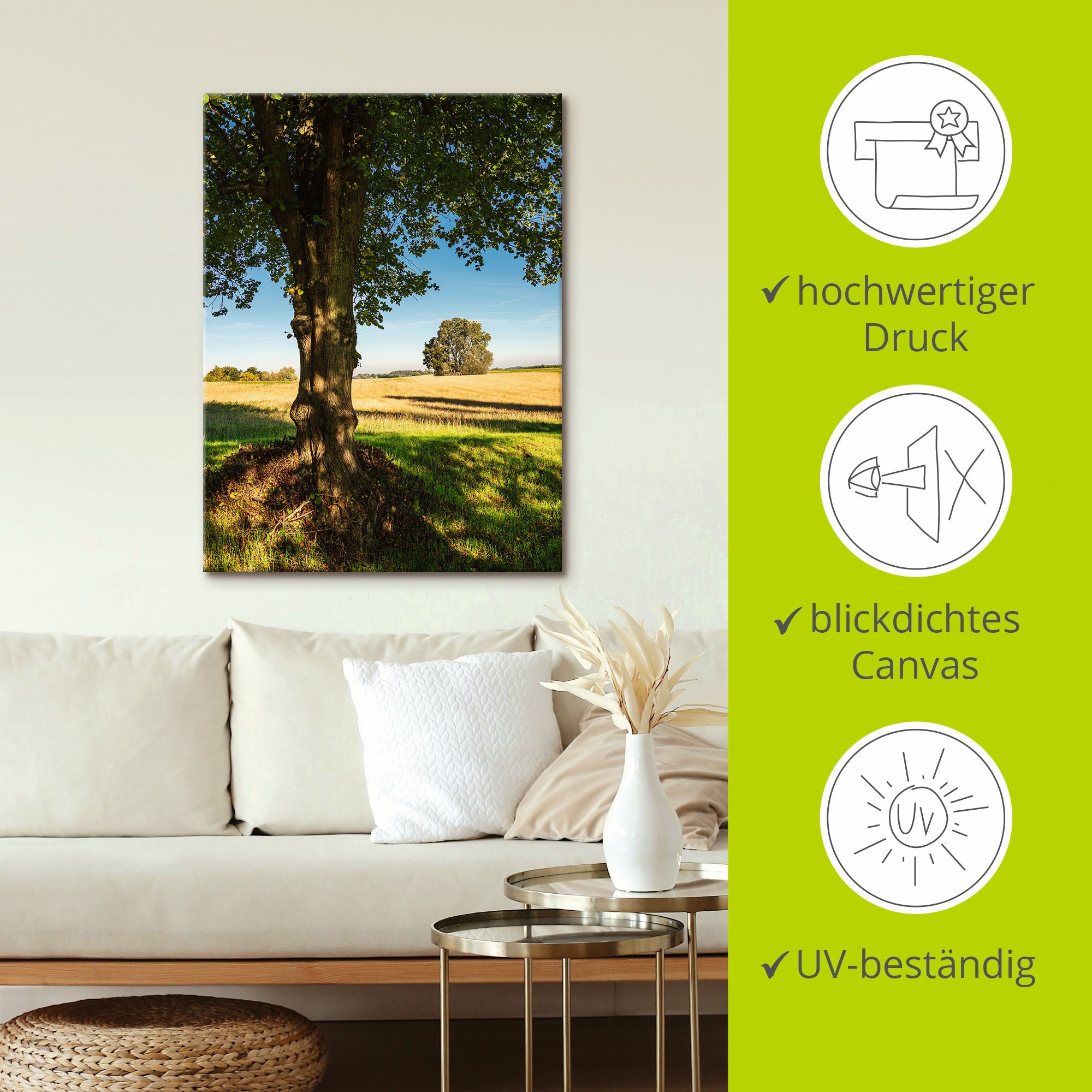 Artland Poster »Feld und Bäumen bei Hohen Demzin«, Felder, (1 St.), als Alubild, Leinwandbild, Wandaufkleber oder Poster in versch. Größen
