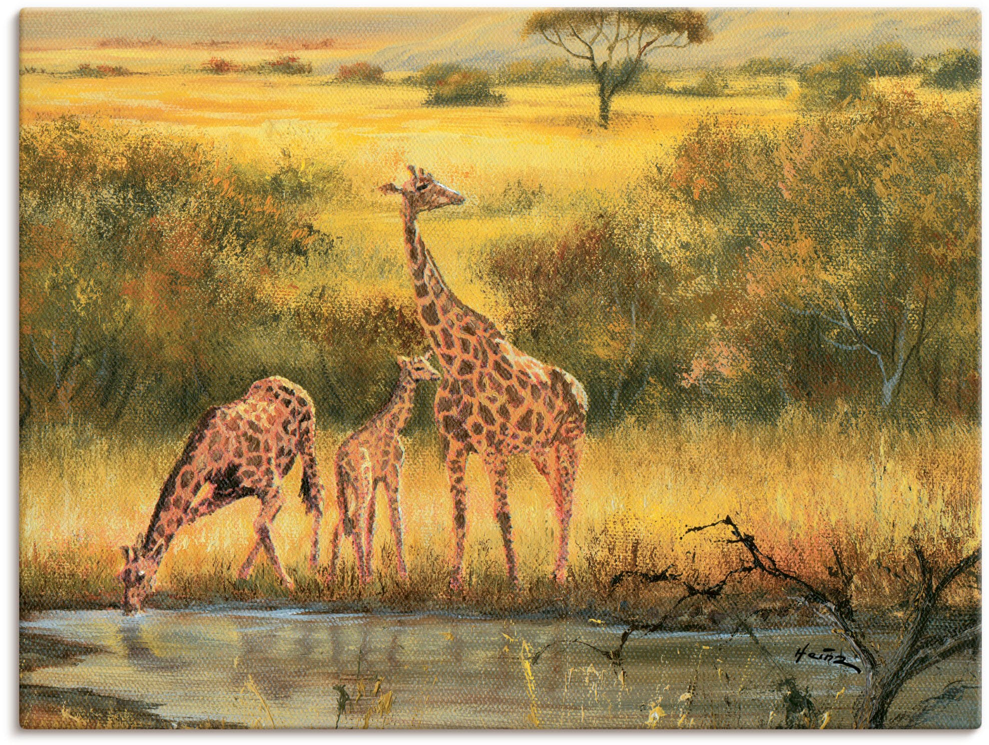 Artland Wandbild »Giraffen«, (1 St.), als Alubild, Leinwandbild,  Wandaufkleber oder Poster in versch. Größen kaufen | BAUR