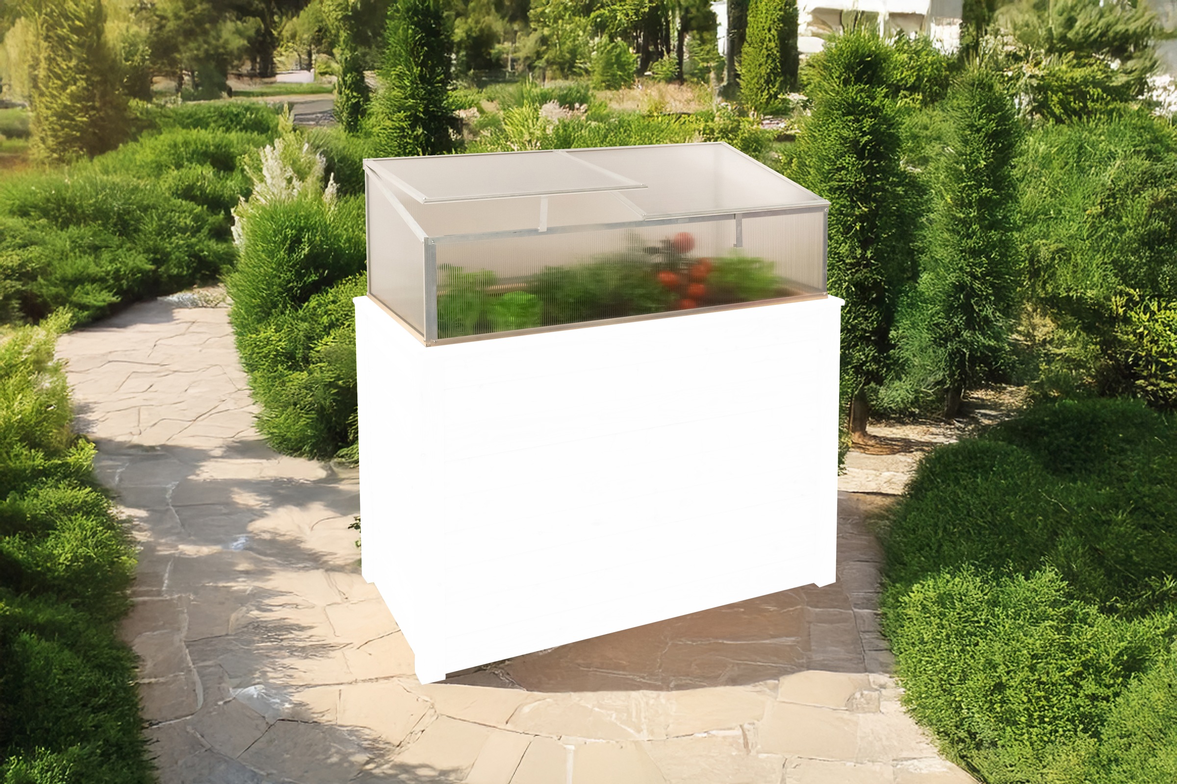 WESTMANN Frühbeetaufsatz »Genus 100« BxTxH: 95x62x41 cm