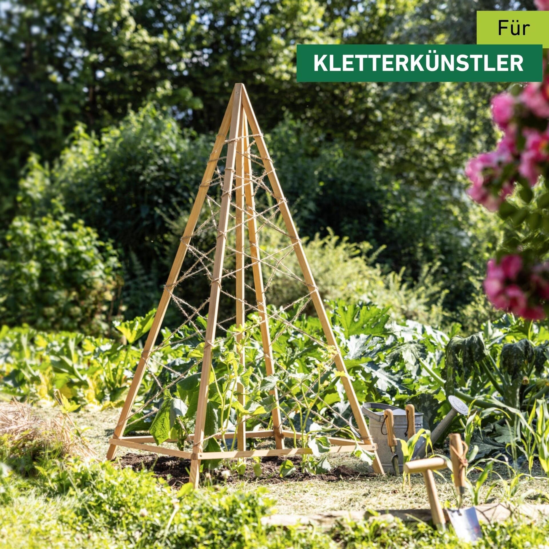 Windhager Rankgitter »Tipi, Holz-Rankgerüst für Blumen und Gemüsepflanzen« Kletterhilfe für den Garten, 75 x 75 x 145 cm
