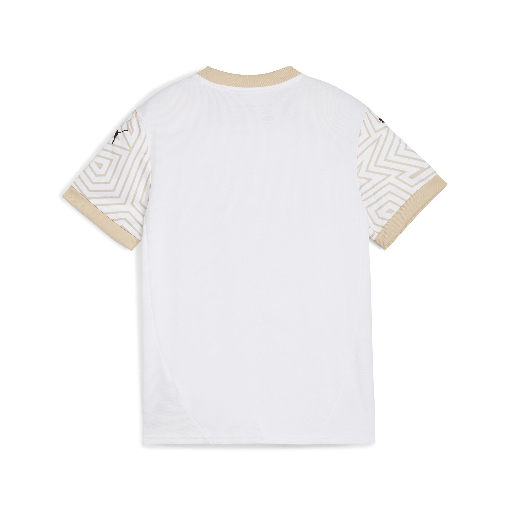 PUMA Trainingsshirt »Stade Reims 24/25 Ausweichtrikot Jugendliche«