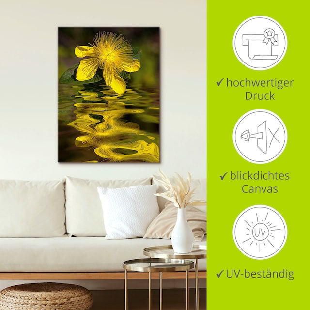 Artland Wandbild »Wasserblüte - Johanniskraut«, Spa Bilder, (1 St.), als  Alubild, Leinwandbild, Wandaufkleber oder Poster in versch. Größen kaufen |  BAUR