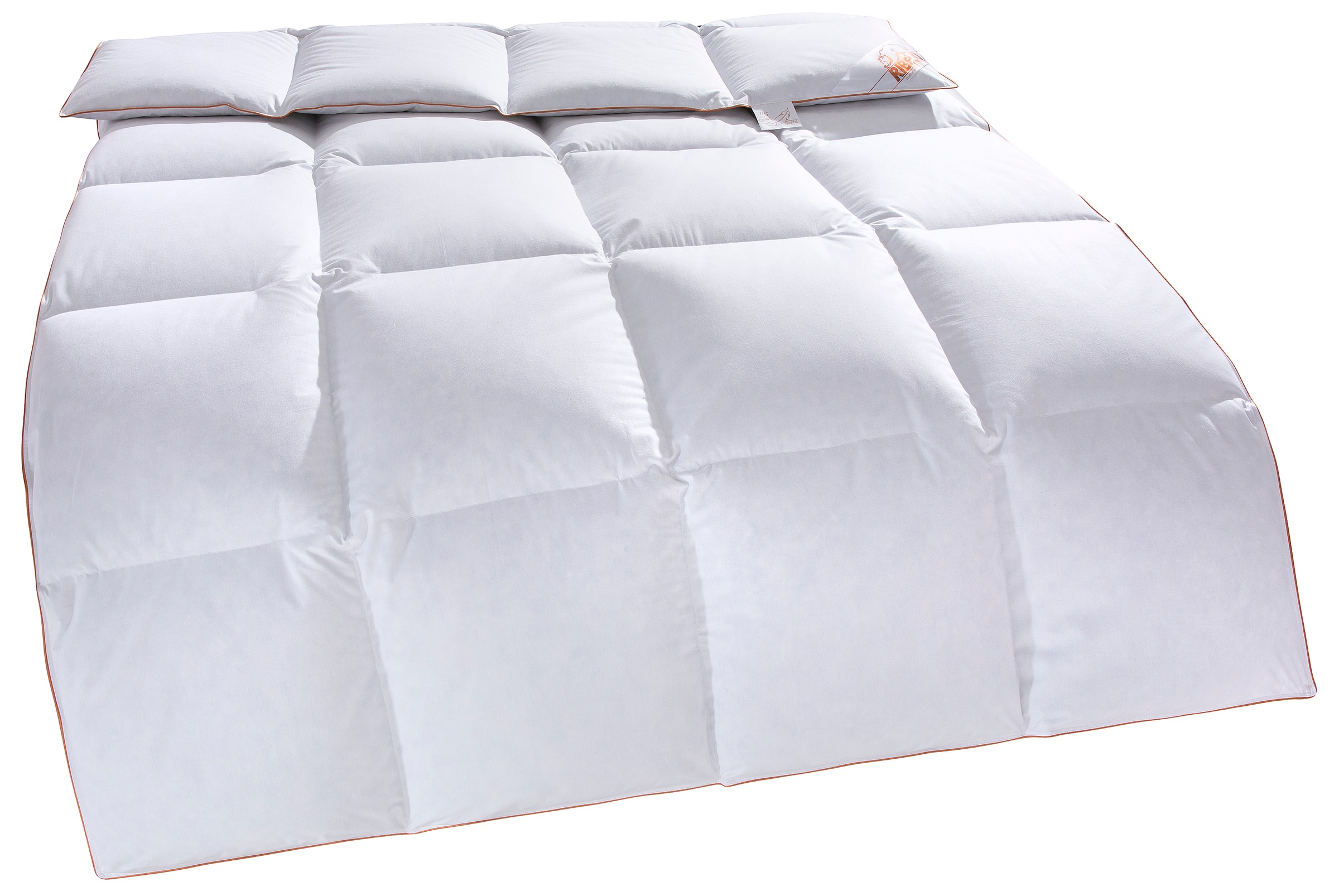 RIBECO Daunenbettdecke "Richard, Bettdecken für Sommer oder Winter, Made in günstig online kaufen