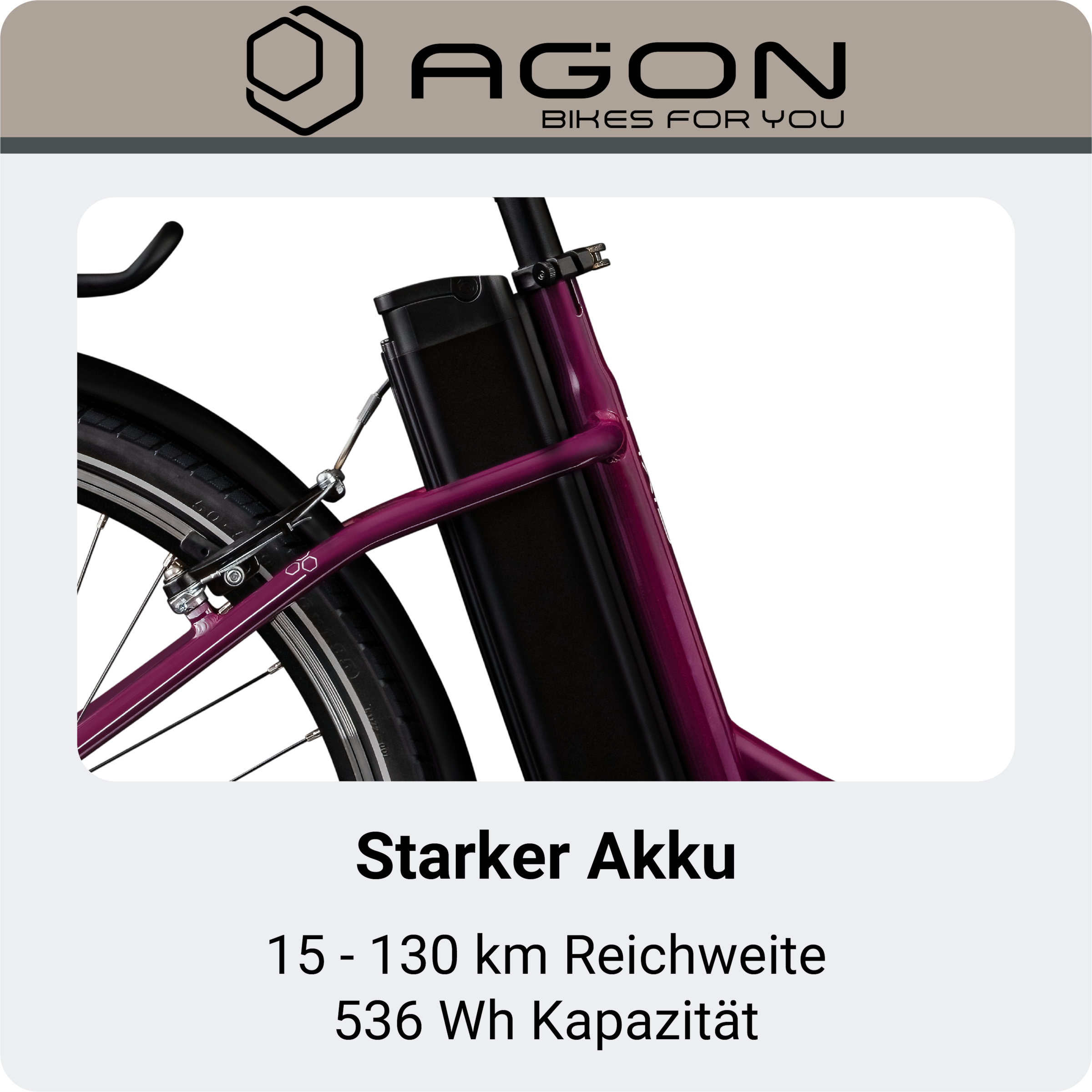 AGON »Axis« 3 Gang Nabenschaltung Frontmotor 250 W Pedelec, Elektrofahrrad für Damen u. Herren