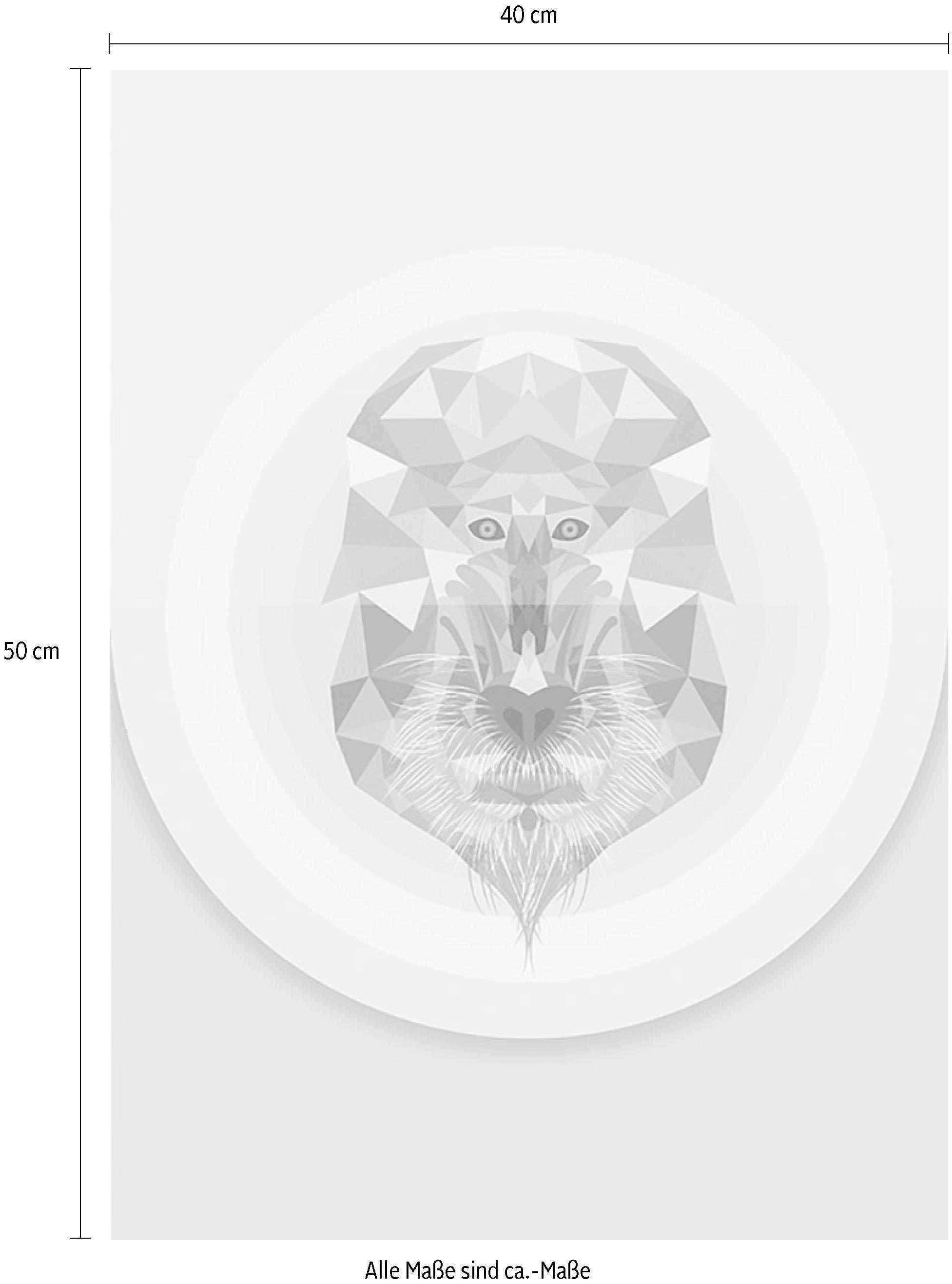 Komar Bild »Baboon«, Tiere, (1 St.), Wandbild zur Dekoration - ohne Rahmen