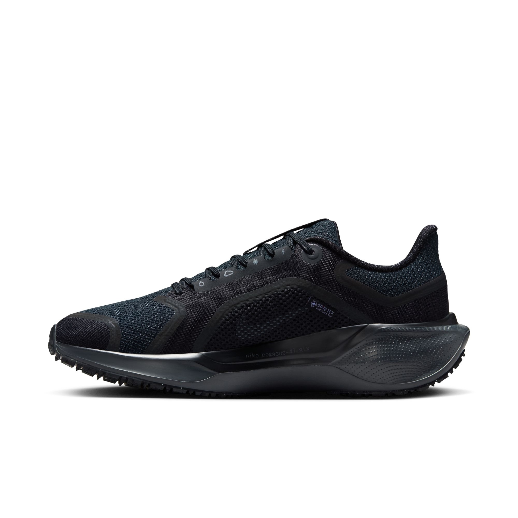 Nike Laufschuh »W AIR ZM PEGASUS 41 GTX«