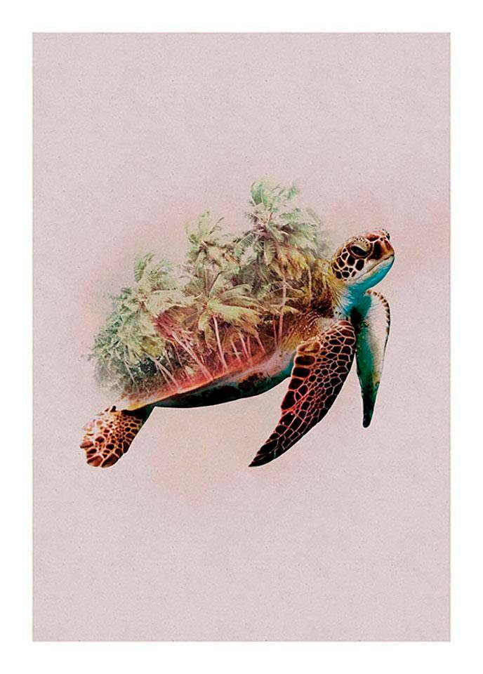 Komar Poster »Animals Paradise Turtle«, Tiere, (1 St.), Kinderzimmer, Schlafzimmer, Wohnzimmer