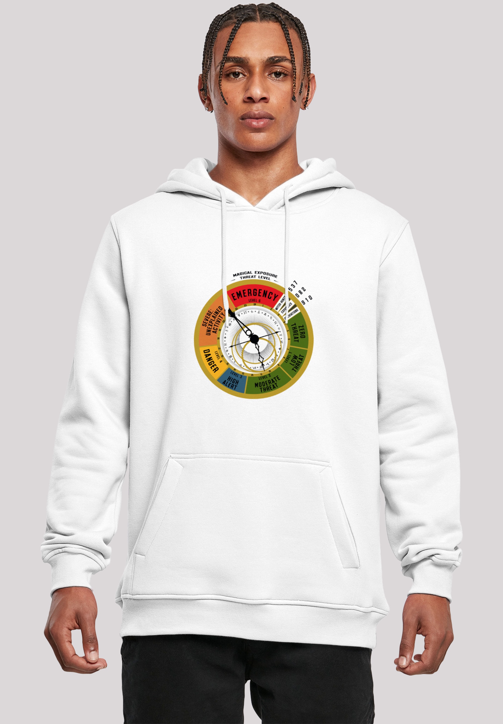 F4NT4STIC Rundhalspullover »F4NT4STIC Herren«, (1 tlg.)