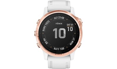 Garmin Smartwatch »FENIX 6S Pro« kaufen
