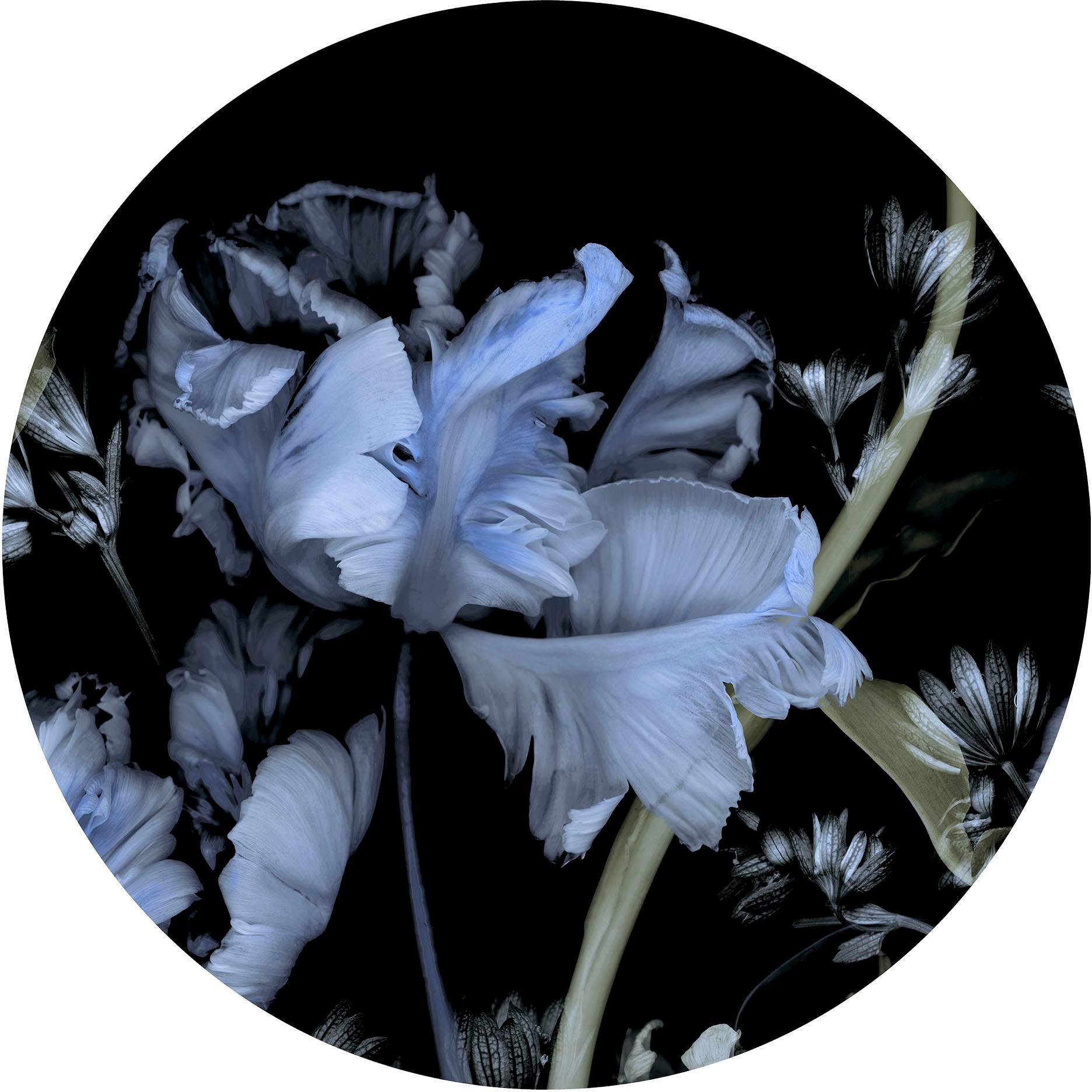 Fashion for walls Fototapete »Tiao Hua«, floral, Phthalate frei