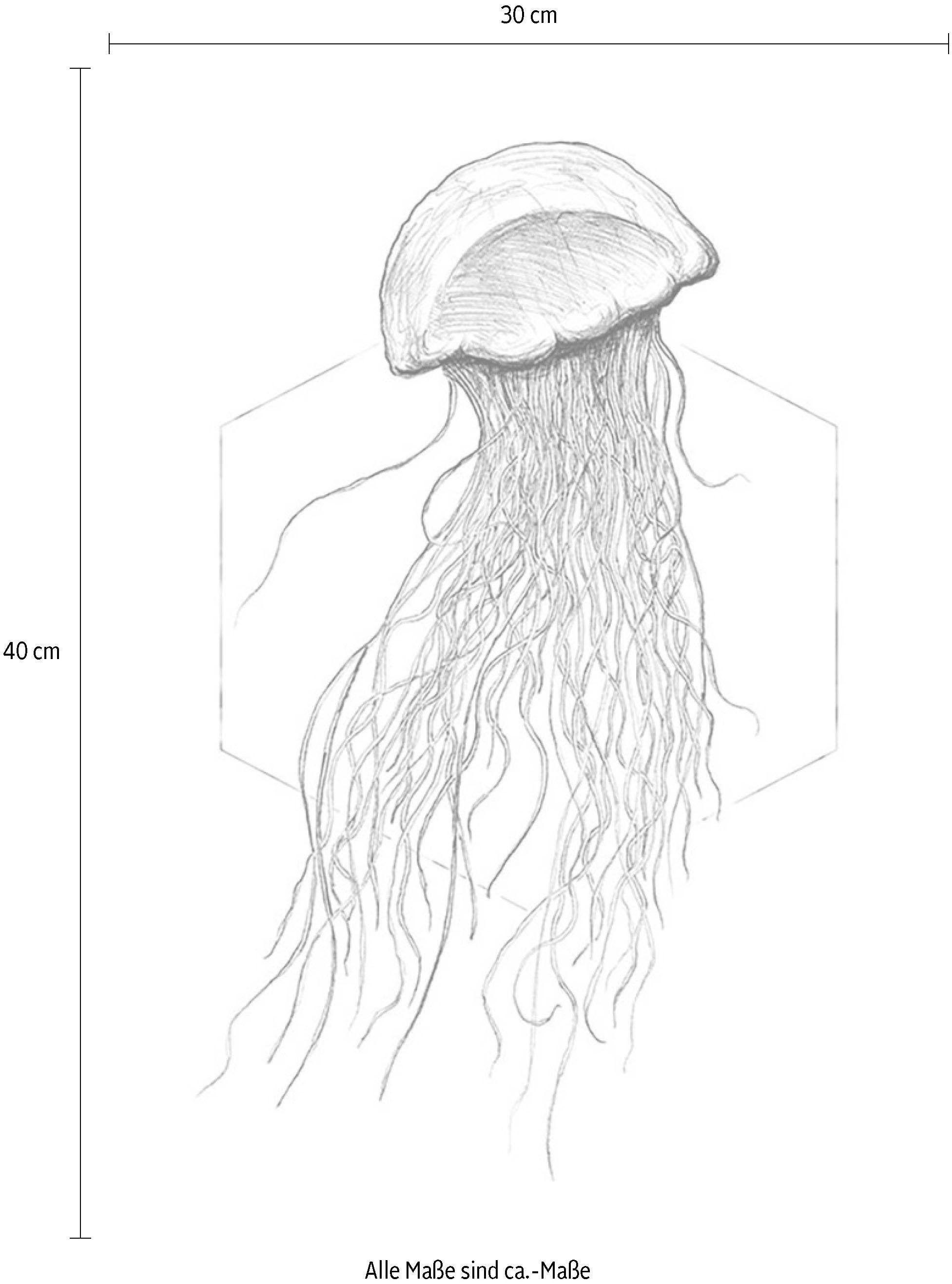 »Jellyfish BAUR | Poster Komar Schlafzimmer, (1 White«, Wohnzimmer Kinderzimmer, Tiere, St.),
