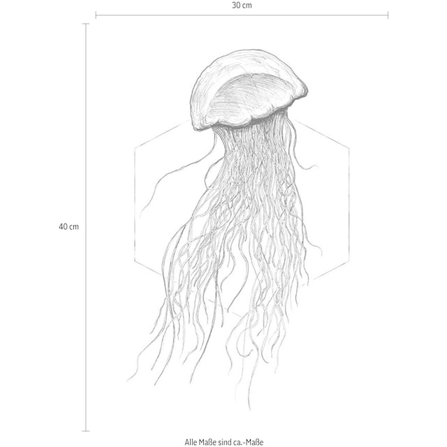 Komar Poster »Jellyfish White«, Tiere, (1 St.), Kinderzimmer, Schlafzimmer,  Wohnzimmer | BAUR | Poster