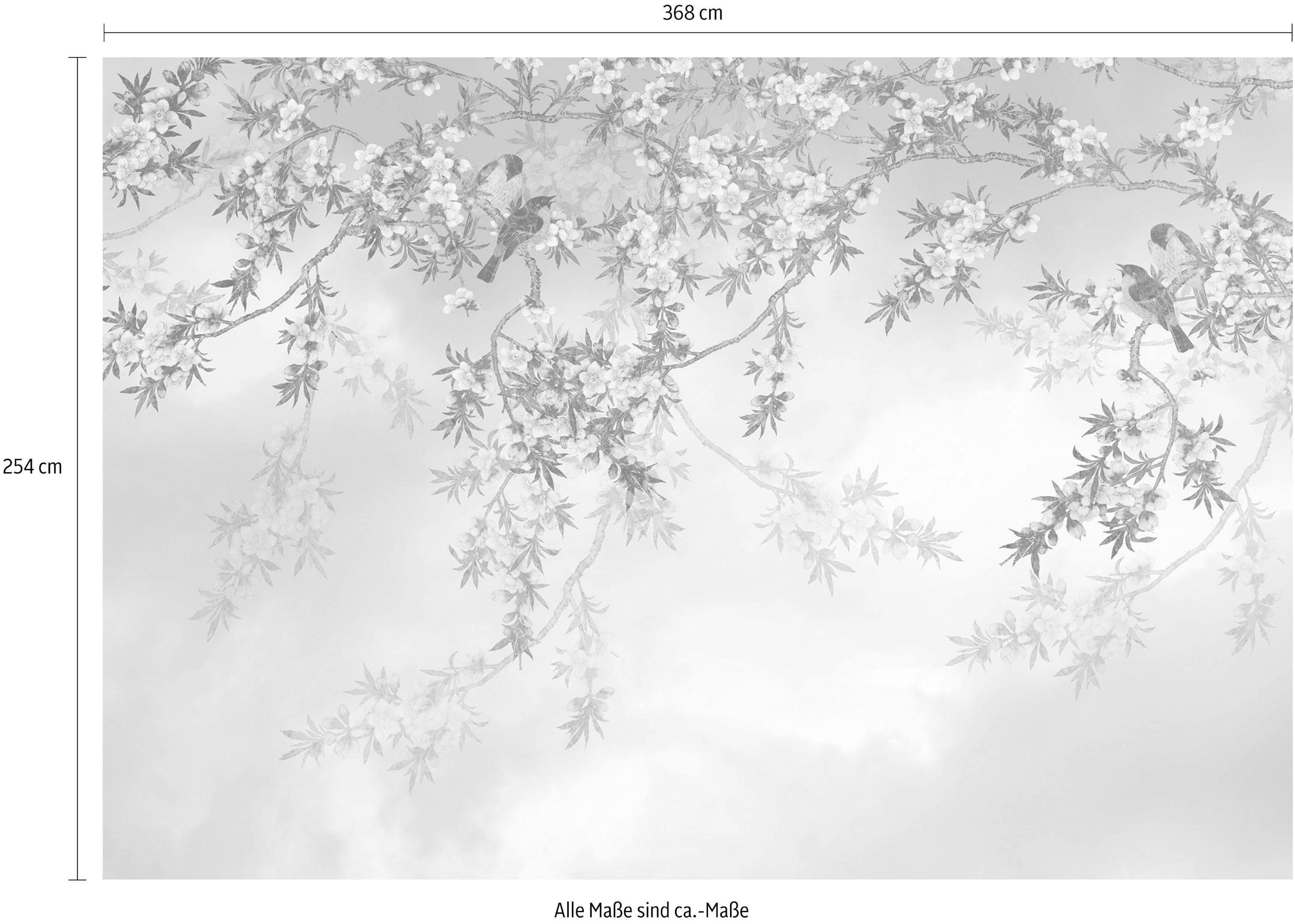 Komar Fototapete »Sakura«, 368x254 cm (Breite x Höhe), inklusive Kleister