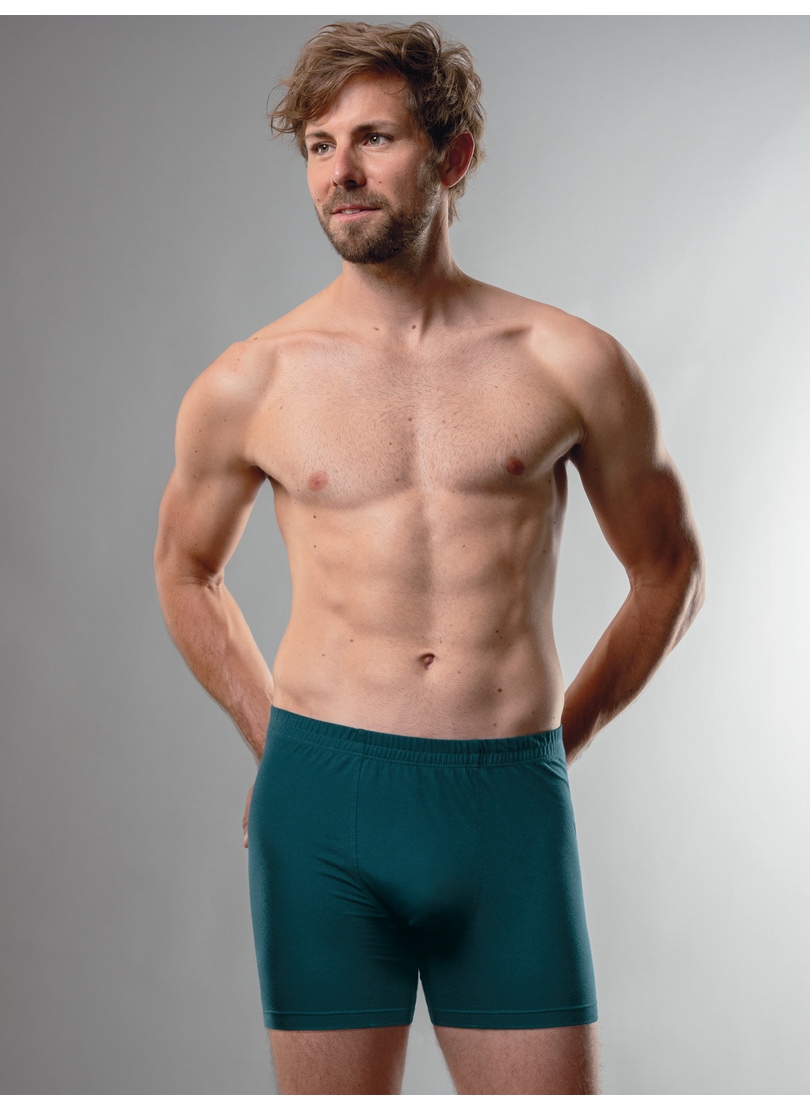 Trigema Boxer "TRIGEMA Herren Pant in bequemer Stretch-Qualität", (1 St.)