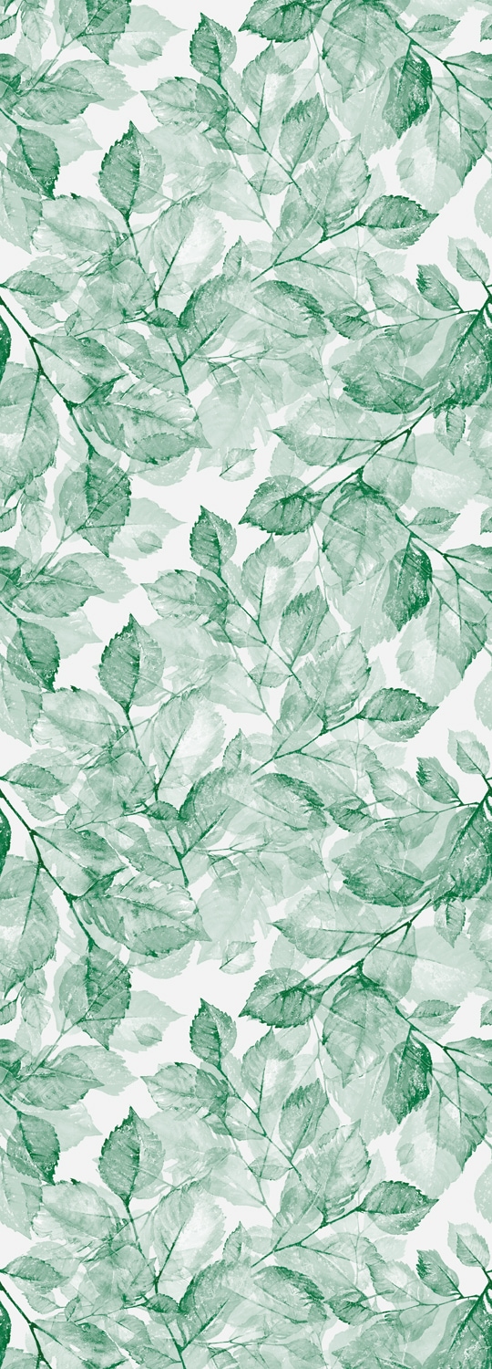 BAUR Vinyltapete Raten 90x250cm | mit herbstlichem Selbstklebende grün«, auf Tapete Motiv queence »Blätter natürlich,