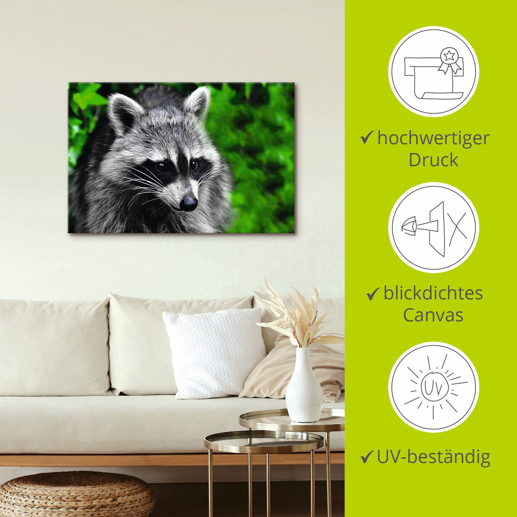 Artland Alu-Dibond-Druck »Waschbär«, Wald, (1 St.), für Innen- und Außenbereich geeignet, Outdoorbild