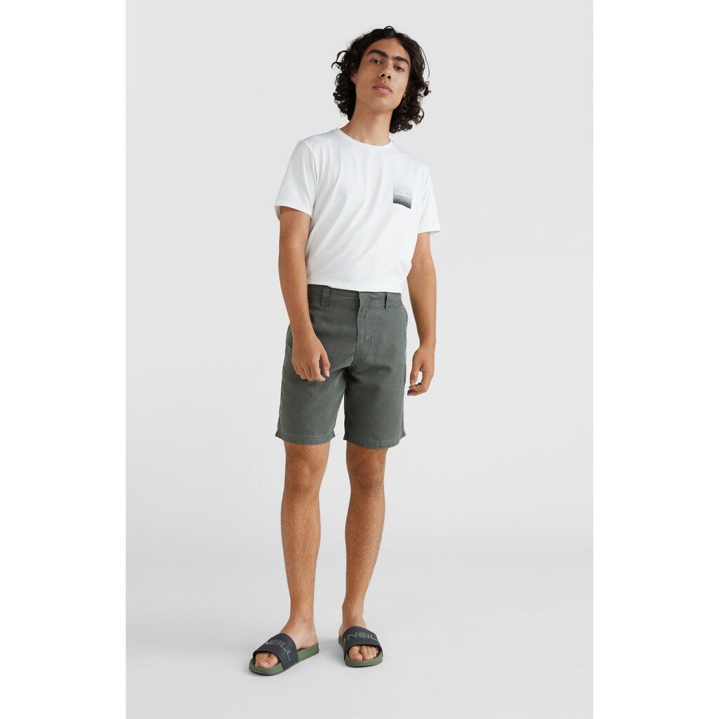 O'Neill Badeshorts »HYBRID DESERT SHORTS«