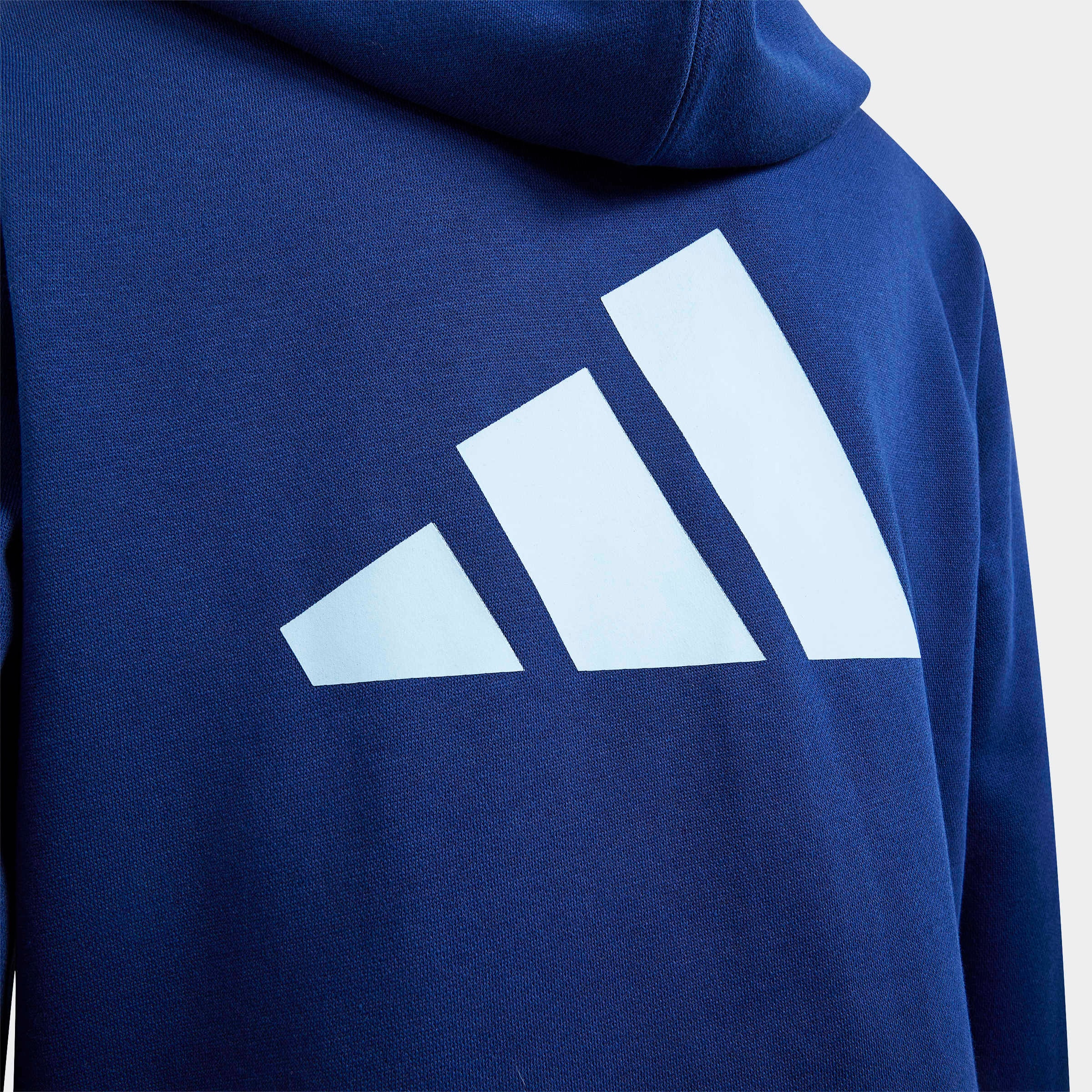 adidas Sportswear Kapuzensweatshirt »COLOR BLOCK HOODIE«
