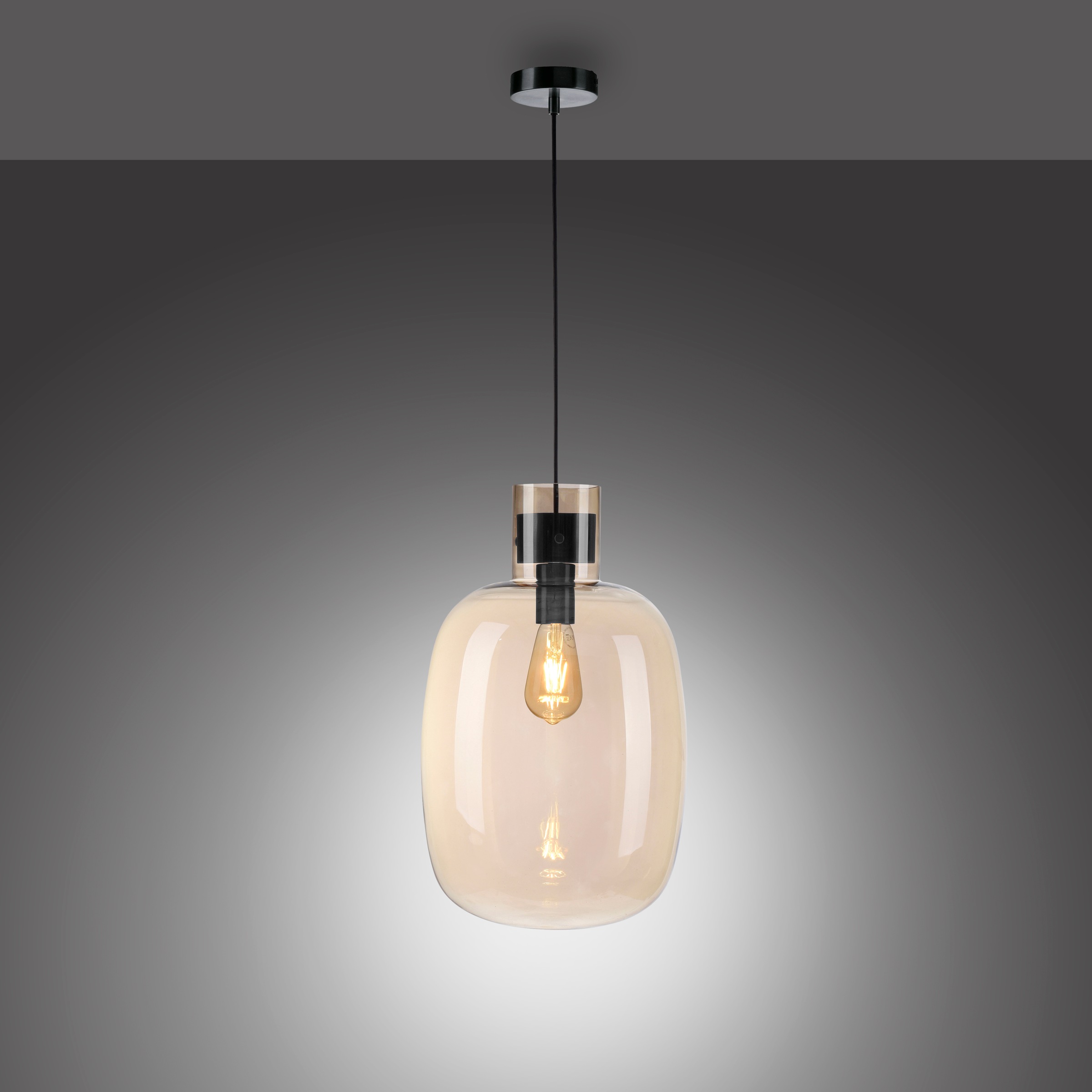 Paul Neuhaus Pendelleuchte "SHITAKE" E27 1 Stk. günstig online kaufen