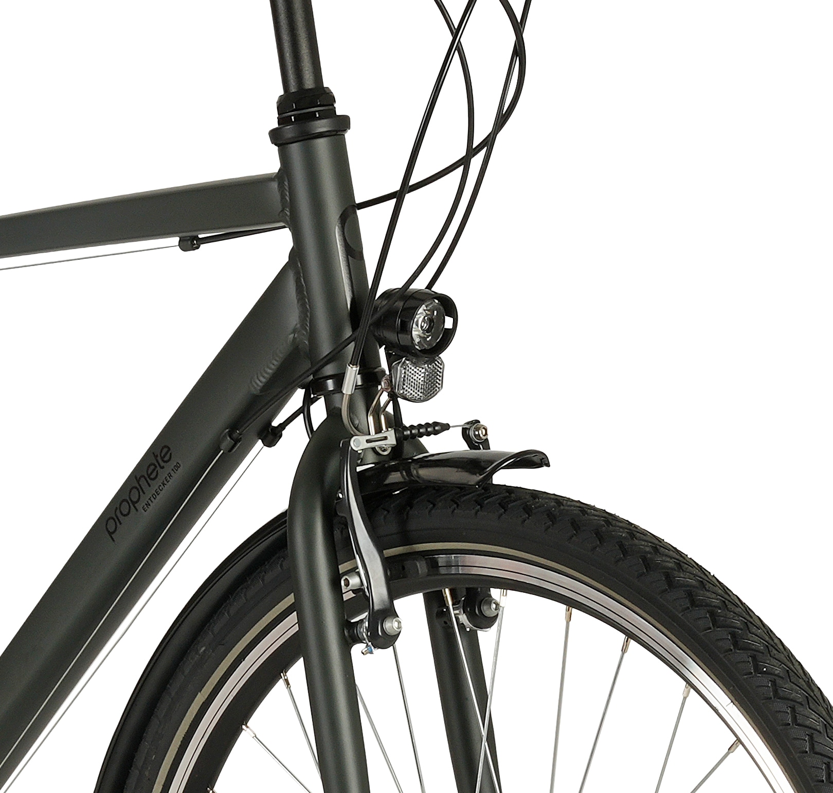 Prophete Trekkingrad »Prophete Entdecker 100« 18 Gang Shimano Kettenschaltung