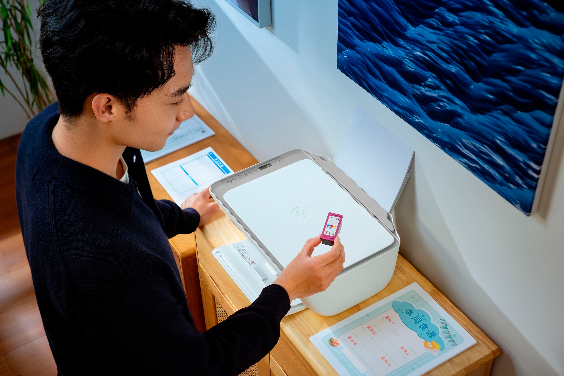 HP Multifunktionsdrucker »DeskJet 2920«