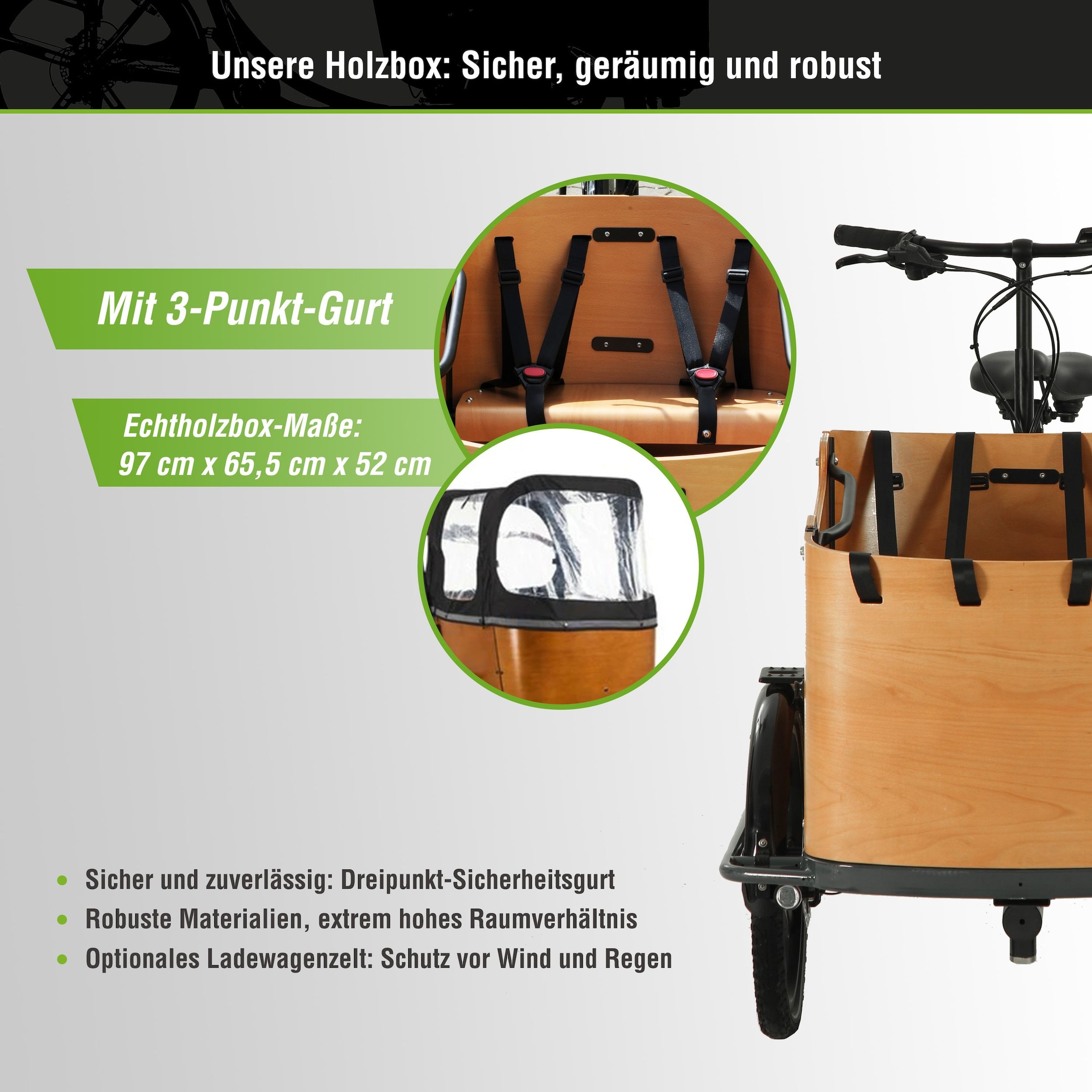 SachsenRad »SachsenRAD T2 Neo Vintage mit Abdeckung« 7 Gang Shimano Kettenschaltung Heckmotor 250 W