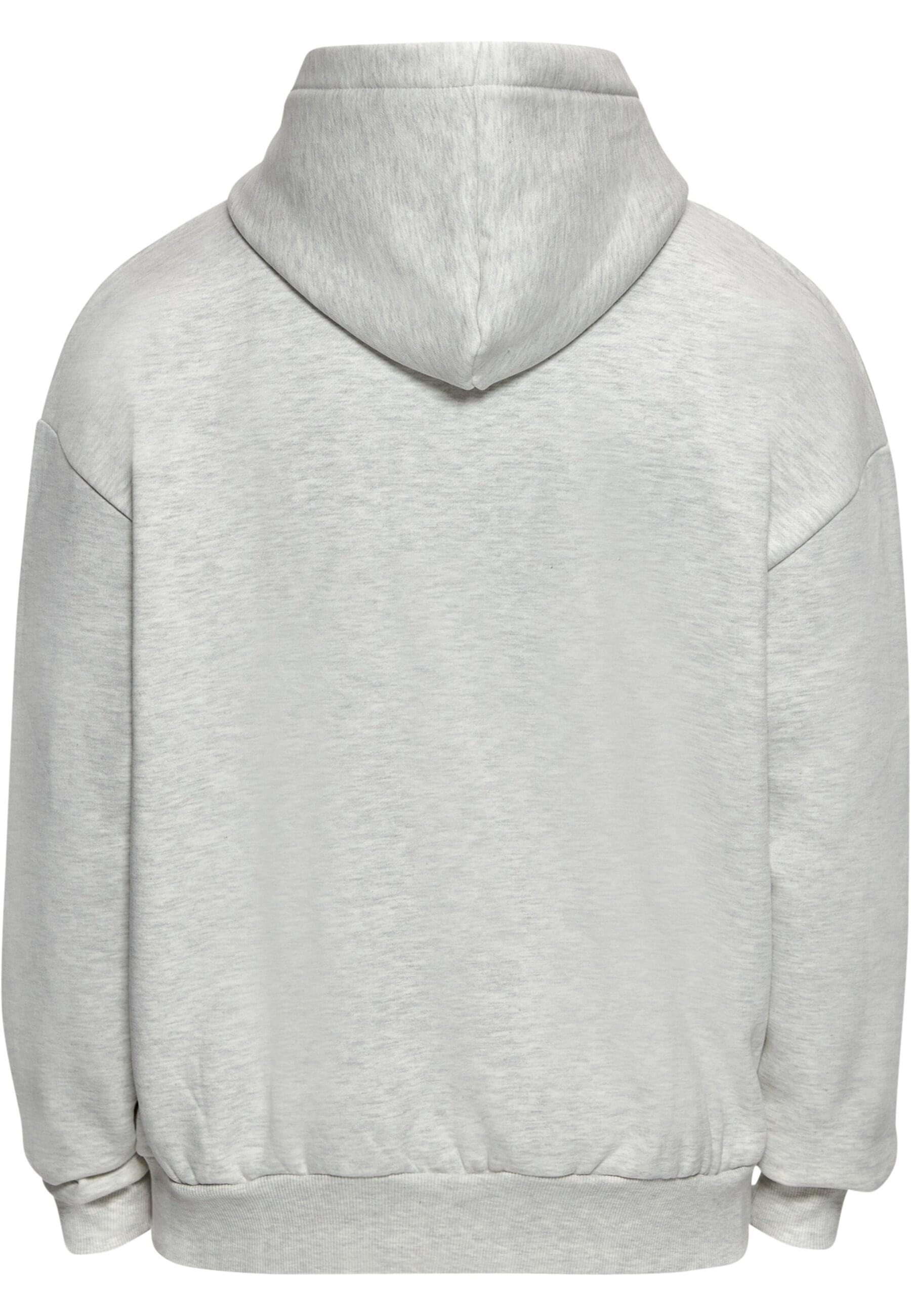 Dropsize Kapuzensweatshirt "Dropsize Herren Dropsize Bazix Republiq SUPER H günstig online kaufen