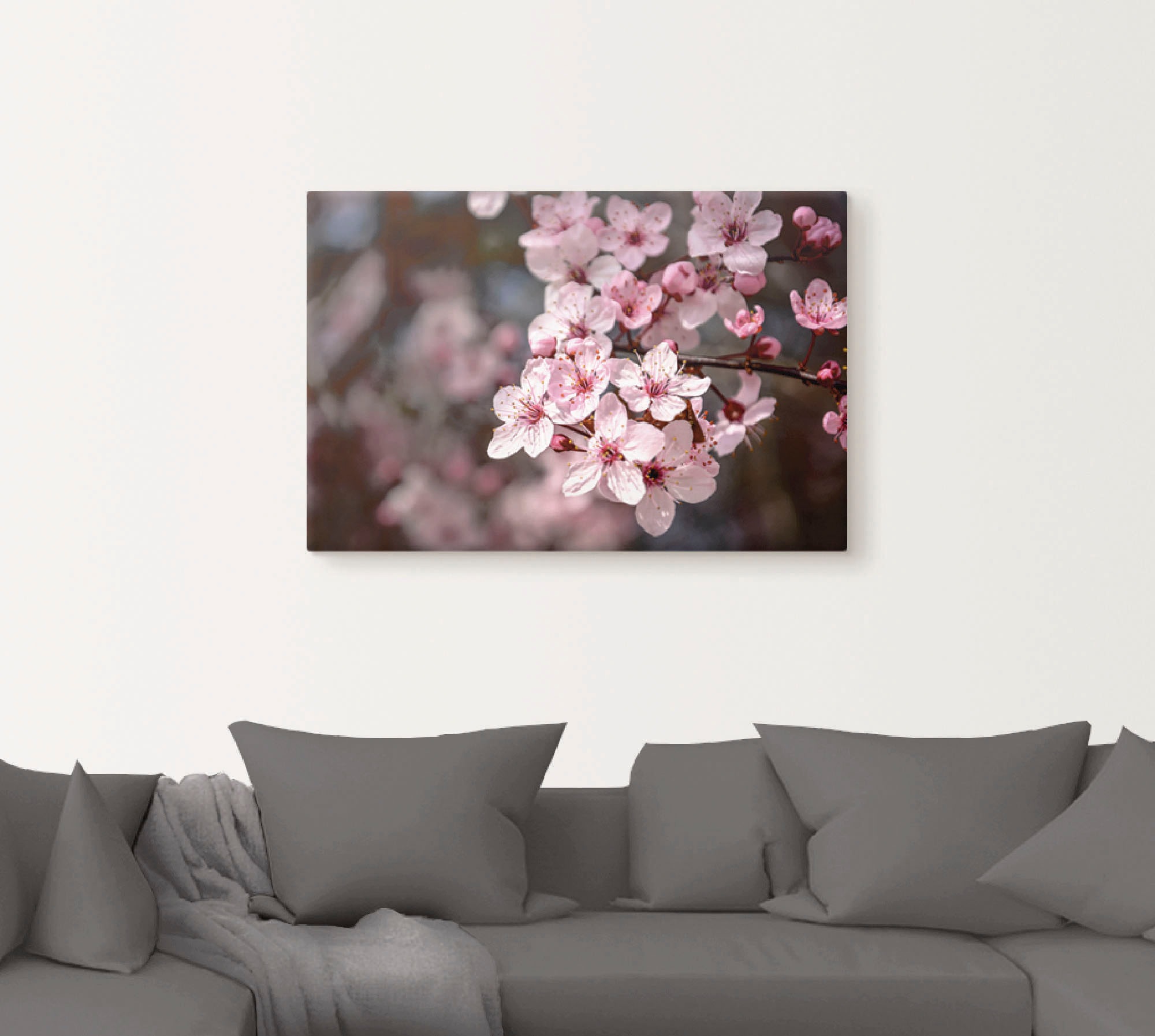 Artland Leinwandbild "Kirschblüten Nahaufnahme im Sonnenlicht" Blumen 1 Stk günstig online kaufen