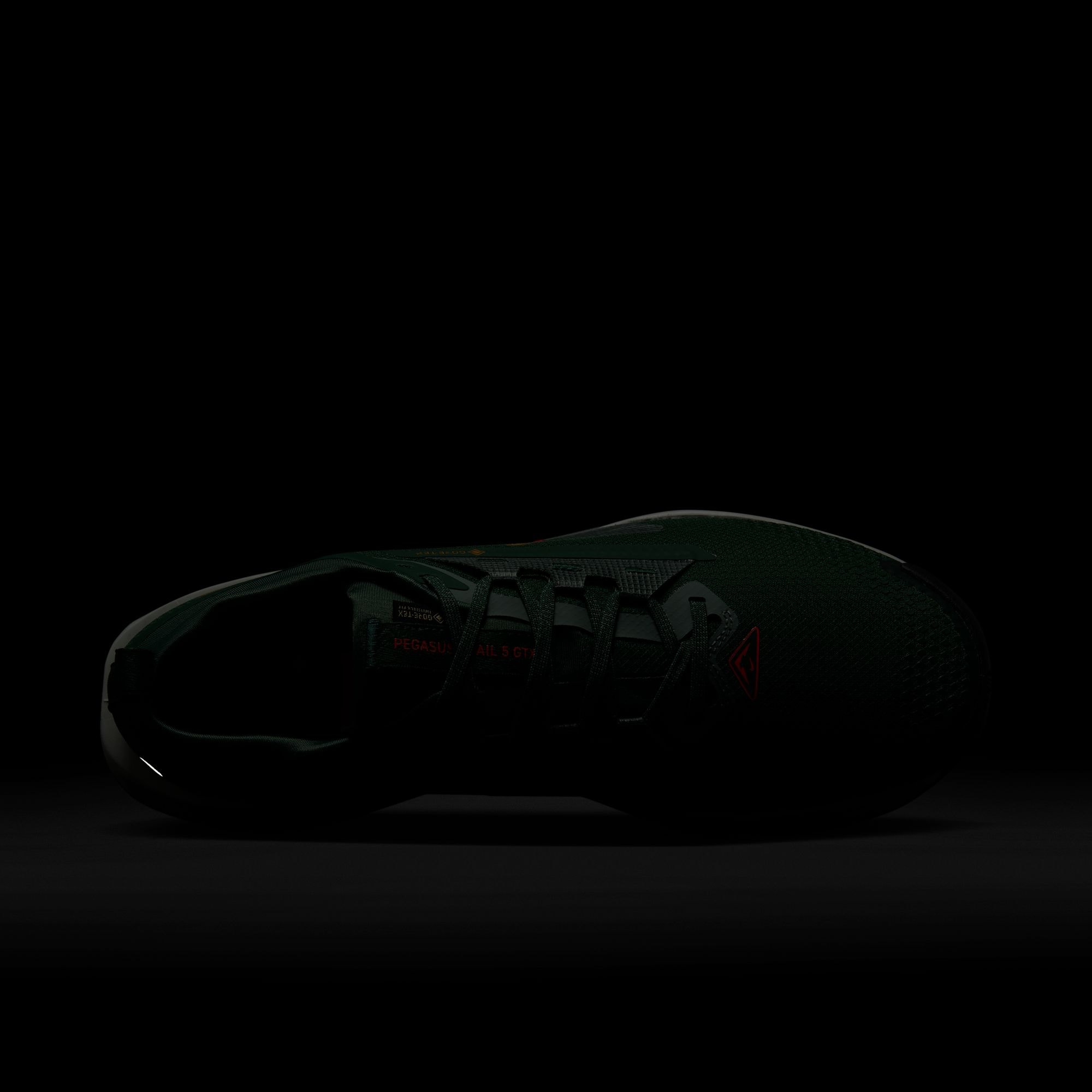 Nike Laufschuh »PEGASUS TRAIL 5 GTX«