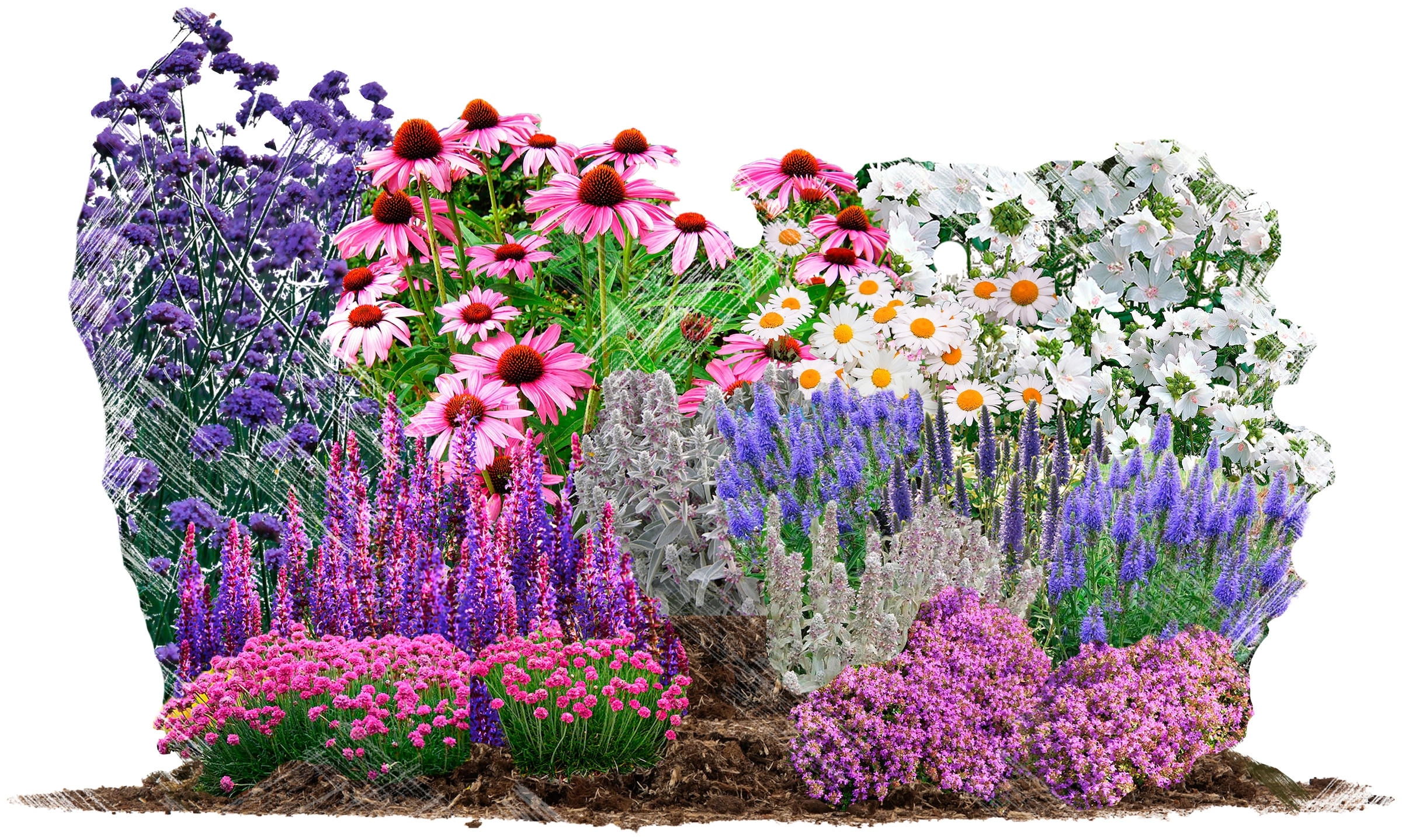 BCM Beetpflanze »Bienen und Schmetterlingsgarten-Set«, (18 St.), Bienen und... kaufen