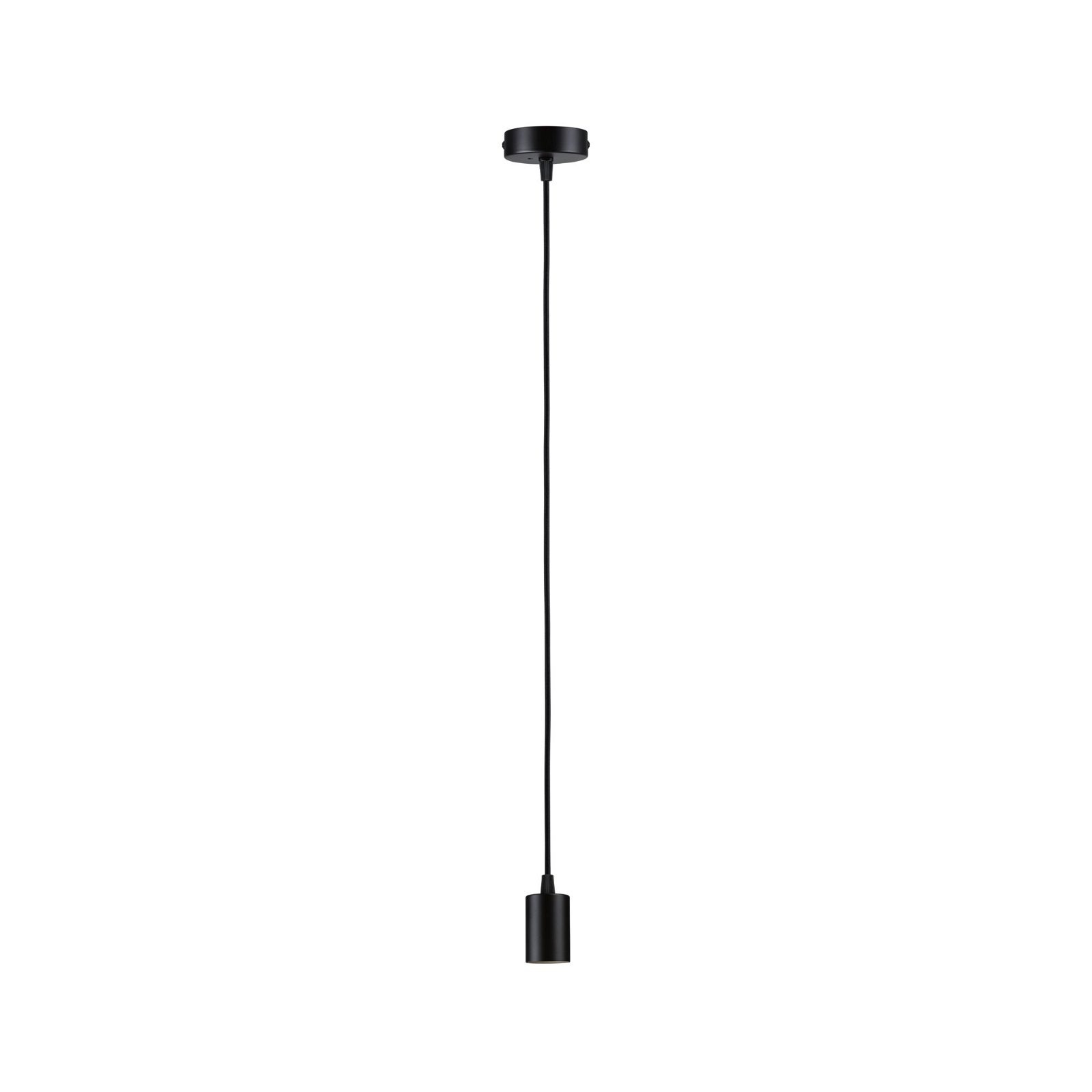 Paulmann Pendelleuchte »Ravi IP44 max 1x60W 230V Metall«, Leuchtmittel E27 | ohne Leuchtmittel, E27