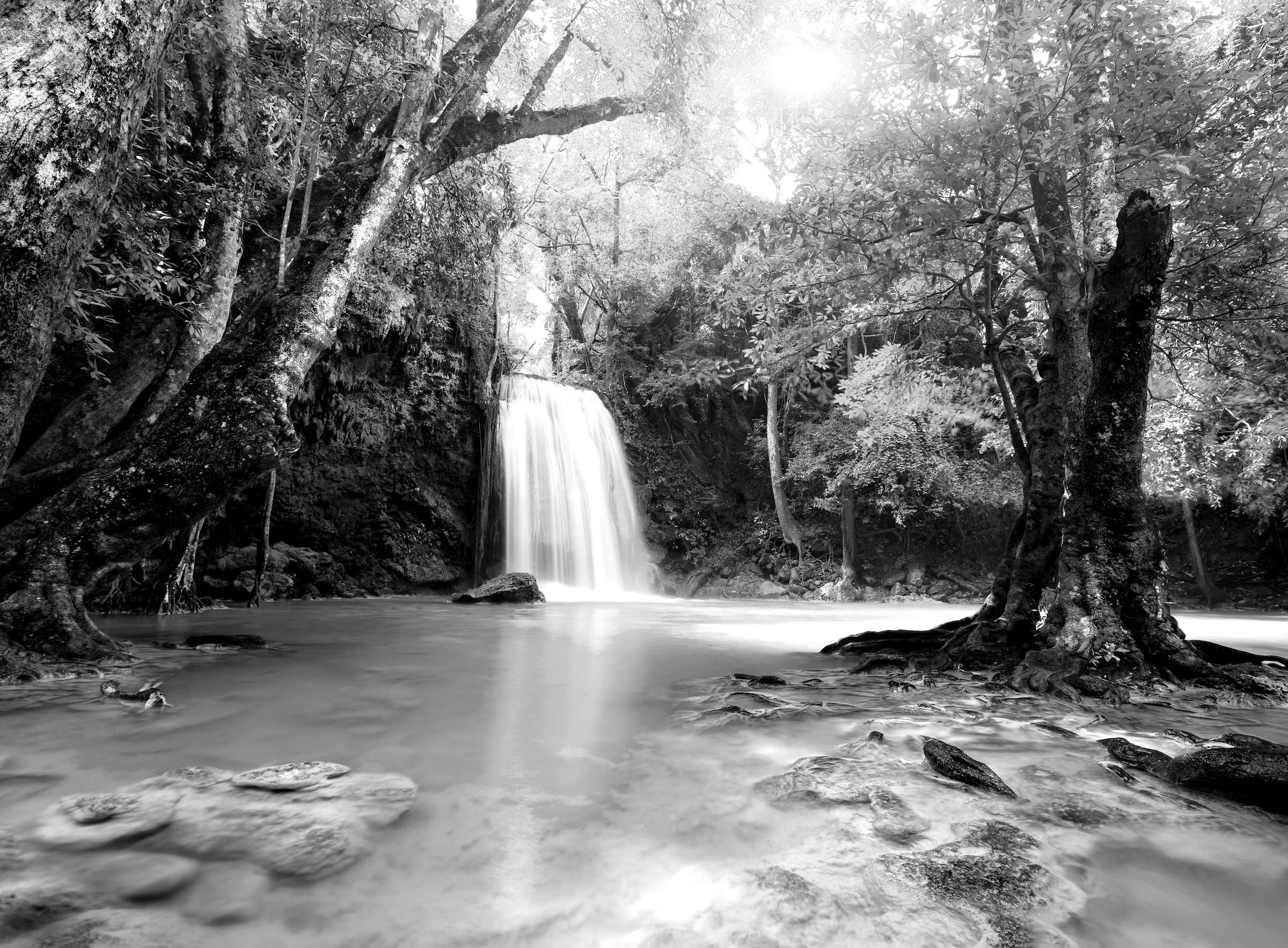 PAPERMOON Fototapete "Wasserfall im Wald Schwarz & Weiß", B/L: 5mm x 2,8mm, Bahnen: 10 Stk. St., schwarz, Schlafzimmer, Tapeten