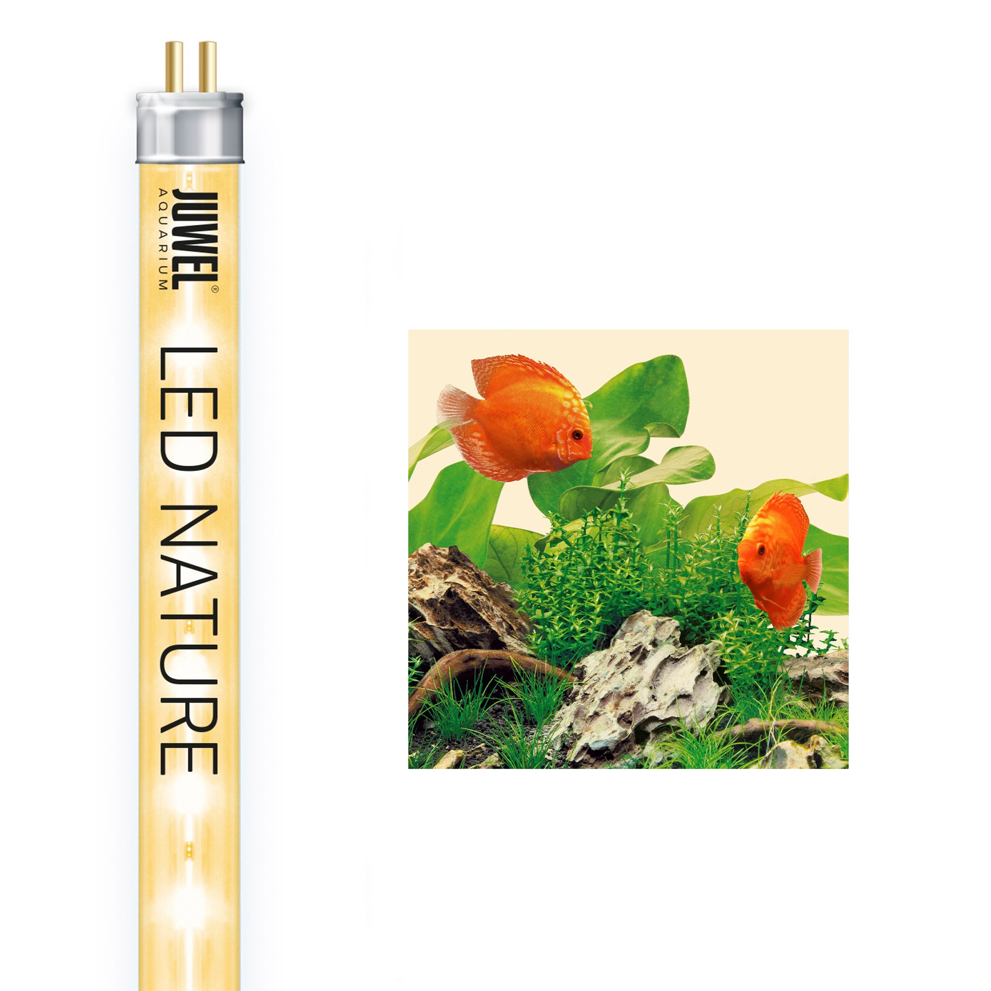 JUWEL AQUARIEN LED Aquariumleuchte »Nature 6500K« kaufen