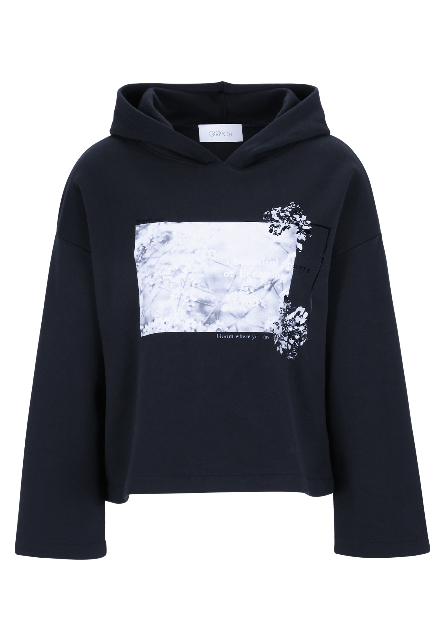 Cartoon Sweatshirt »Cartoon Hoodie mit Print«, Placement