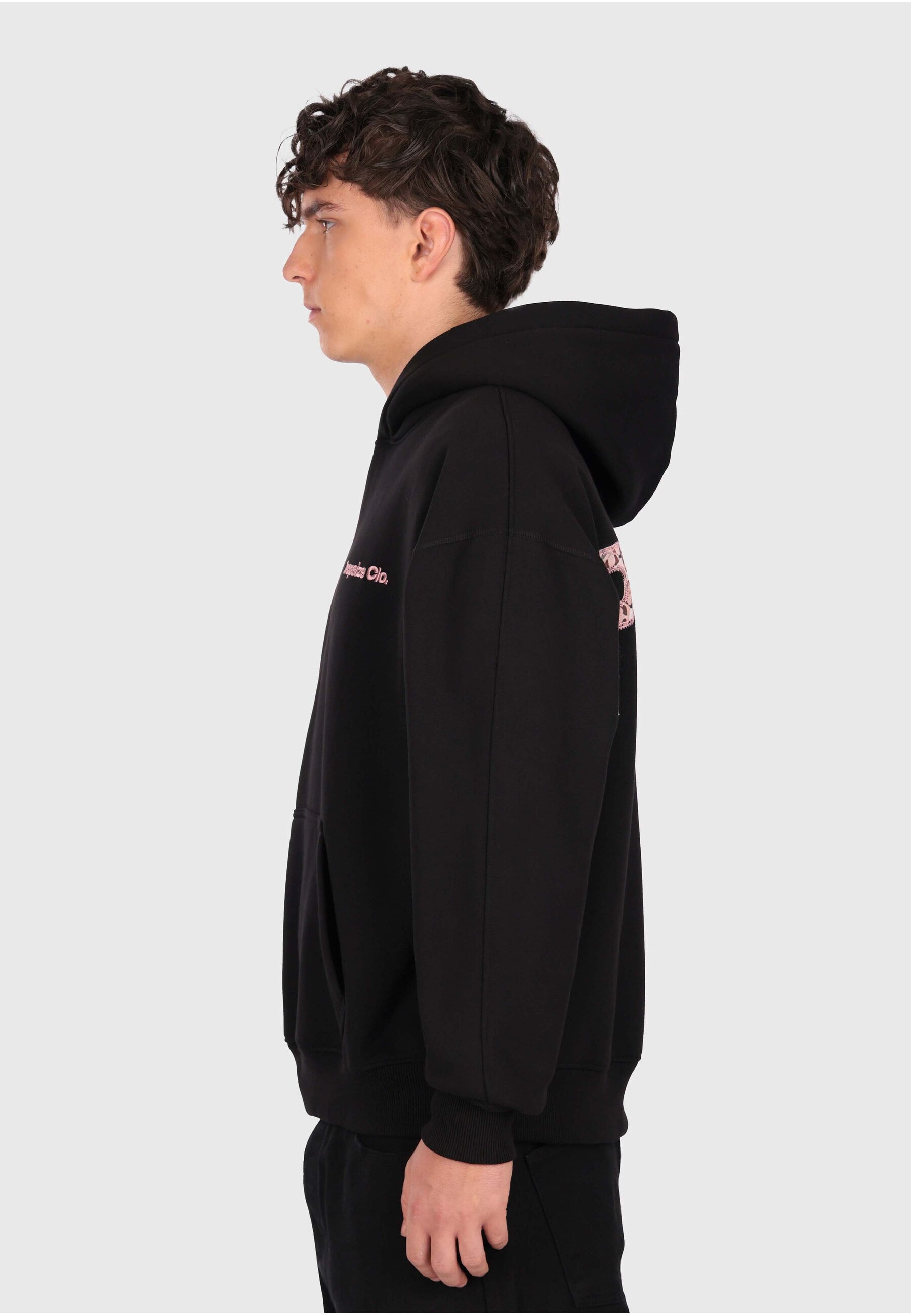 Dropsize Kapuzensweatshirt »Dropsize SNAKE APPLICATION HOODIE«, 1 Stk.
