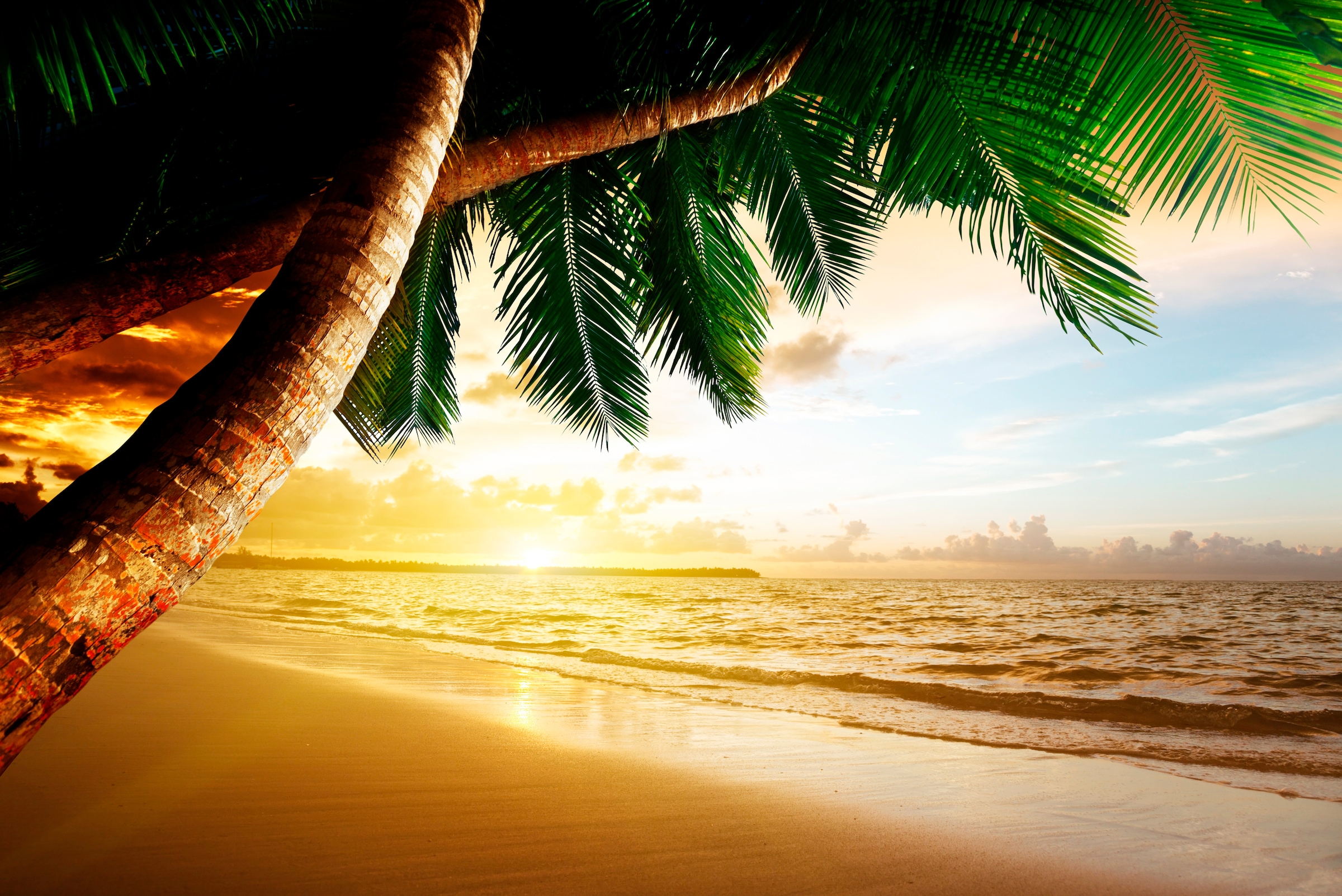 Papermoon Fototapete "Caribbean Beach Sunrise" glatt günstig online kaufen