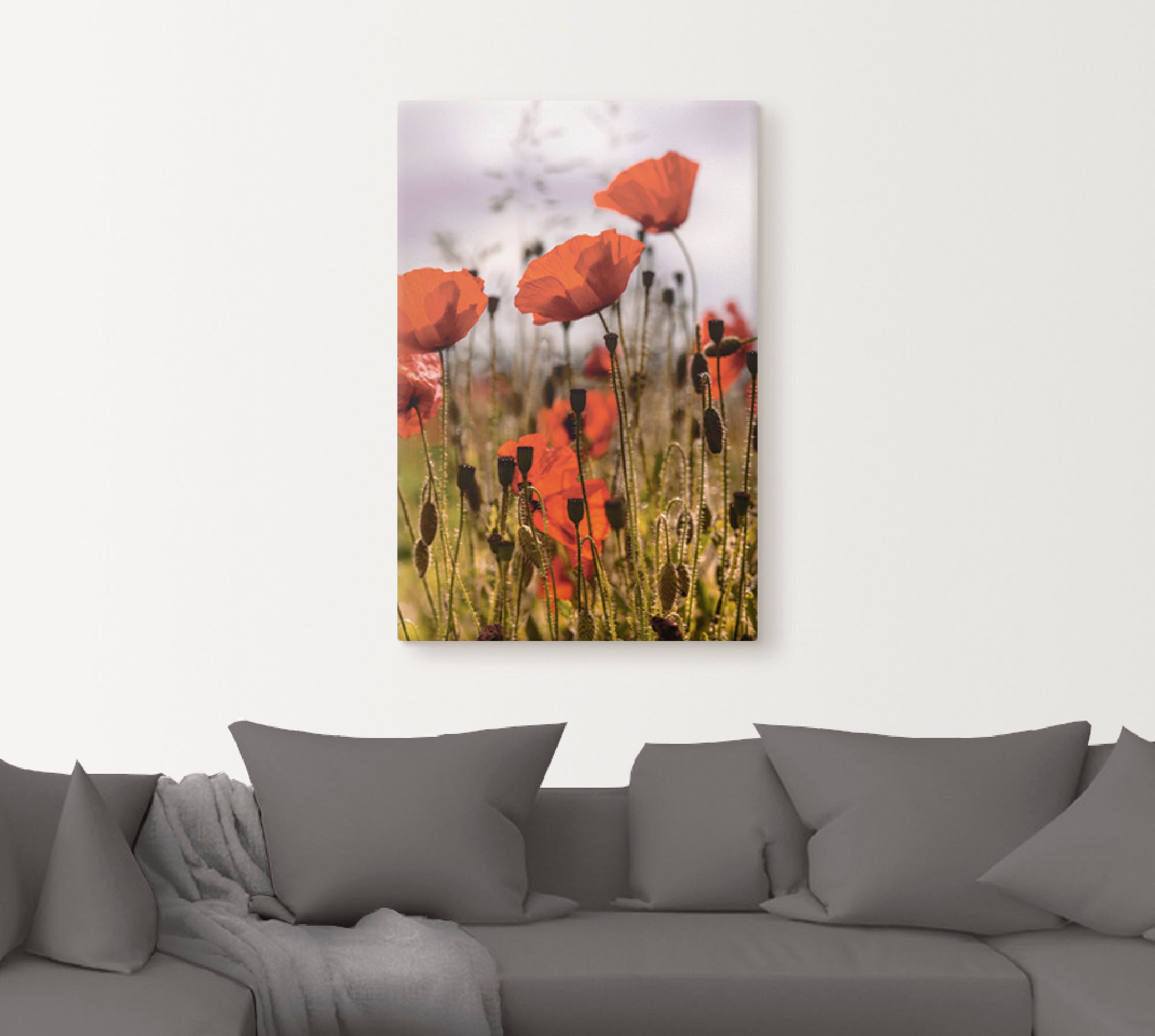 Artland Wandbild »Mohnblumen im Morgenlicht«, Blumenwiese, (1 St.), als Alubild, Outdoorbild, Leinwandbild, Poster in verschied. Größen