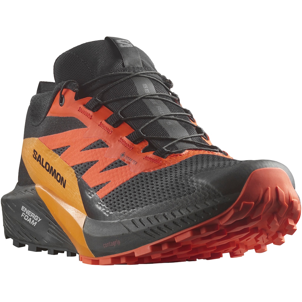 Salomon Laufschuh »SENSE RIDE 5 GORE-TEX®«