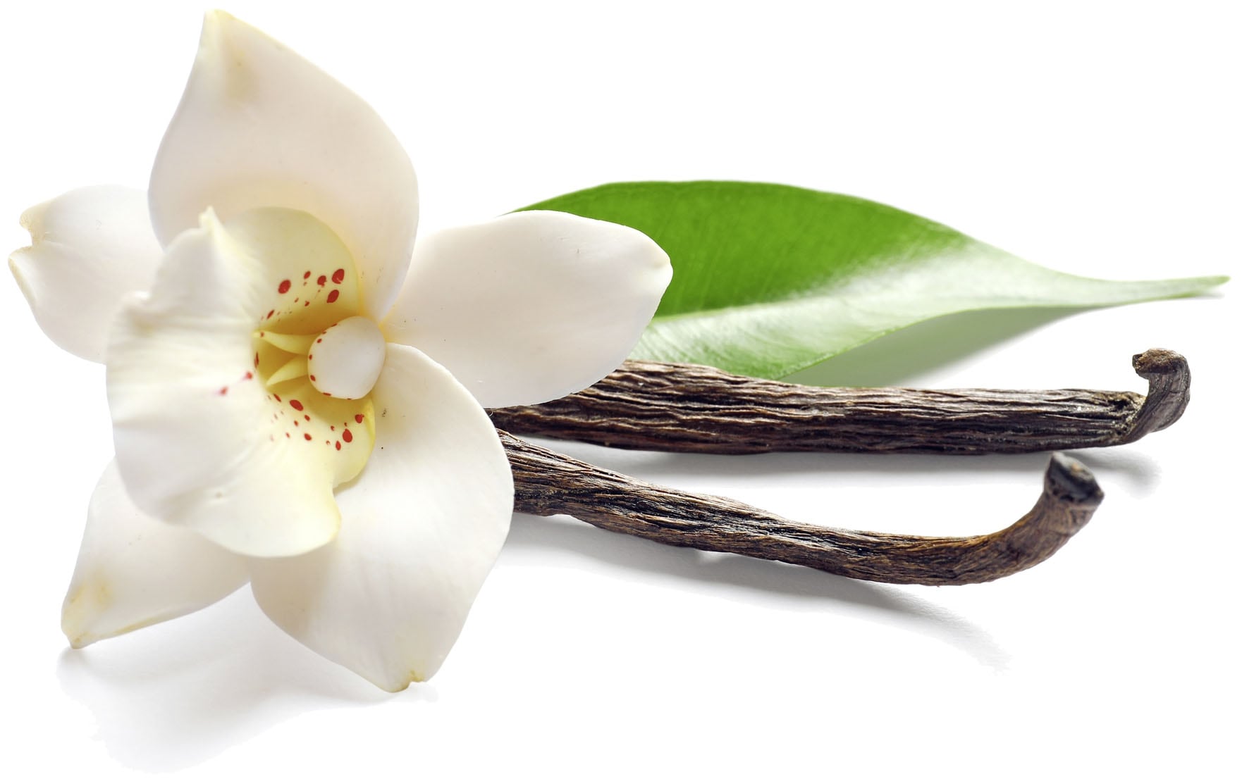 SCHÖNER WOHNEN-Kollektion Duftkerze »»Vanilla S«« im Glas, lieblicher & verwöhnender Duft, Brenndauer 20 - 25 Stunden