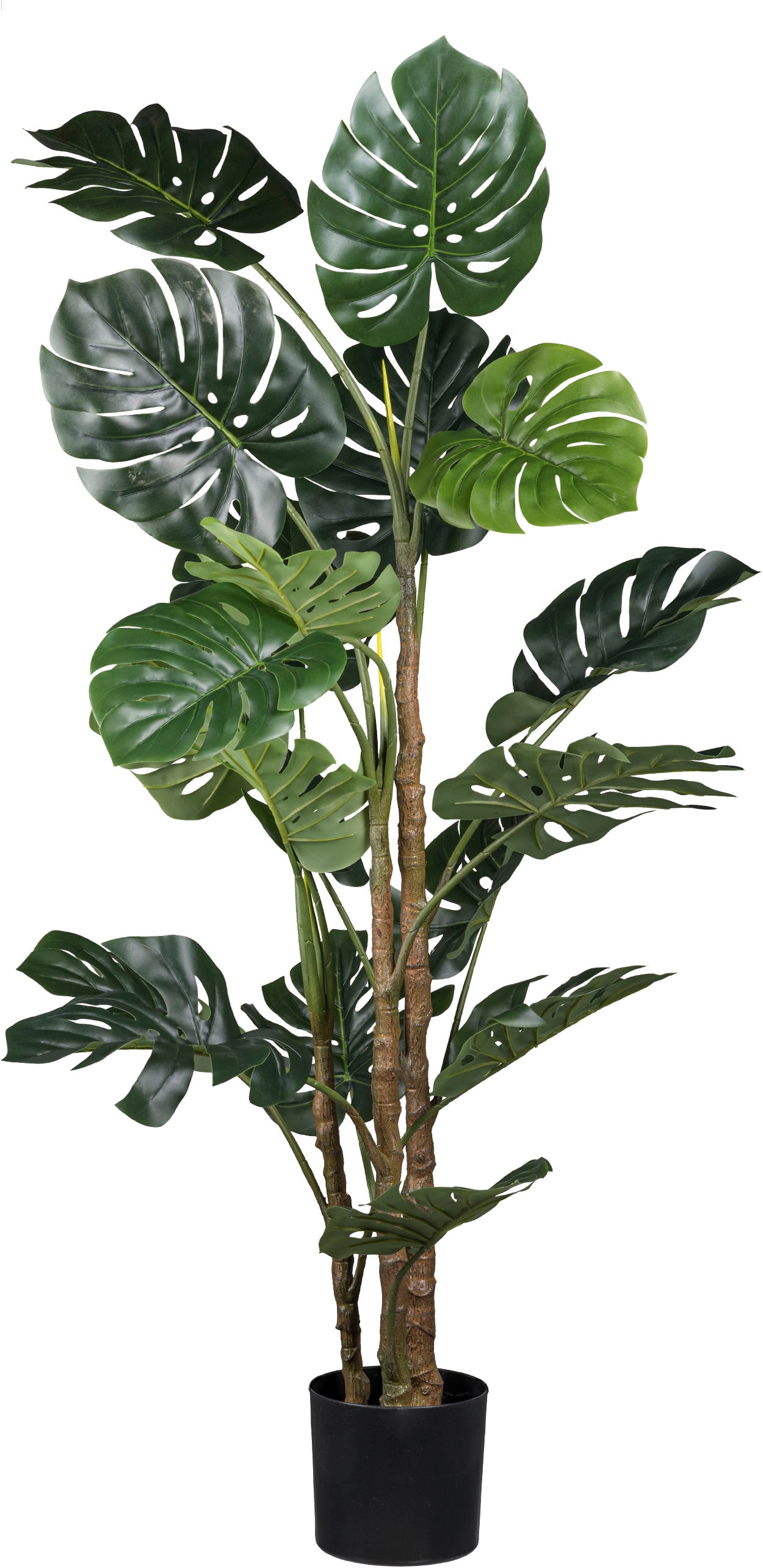 Creativ green Künstliche Zimmerpflanze "Splitphilodendron", mit detailgetre günstig online kaufen